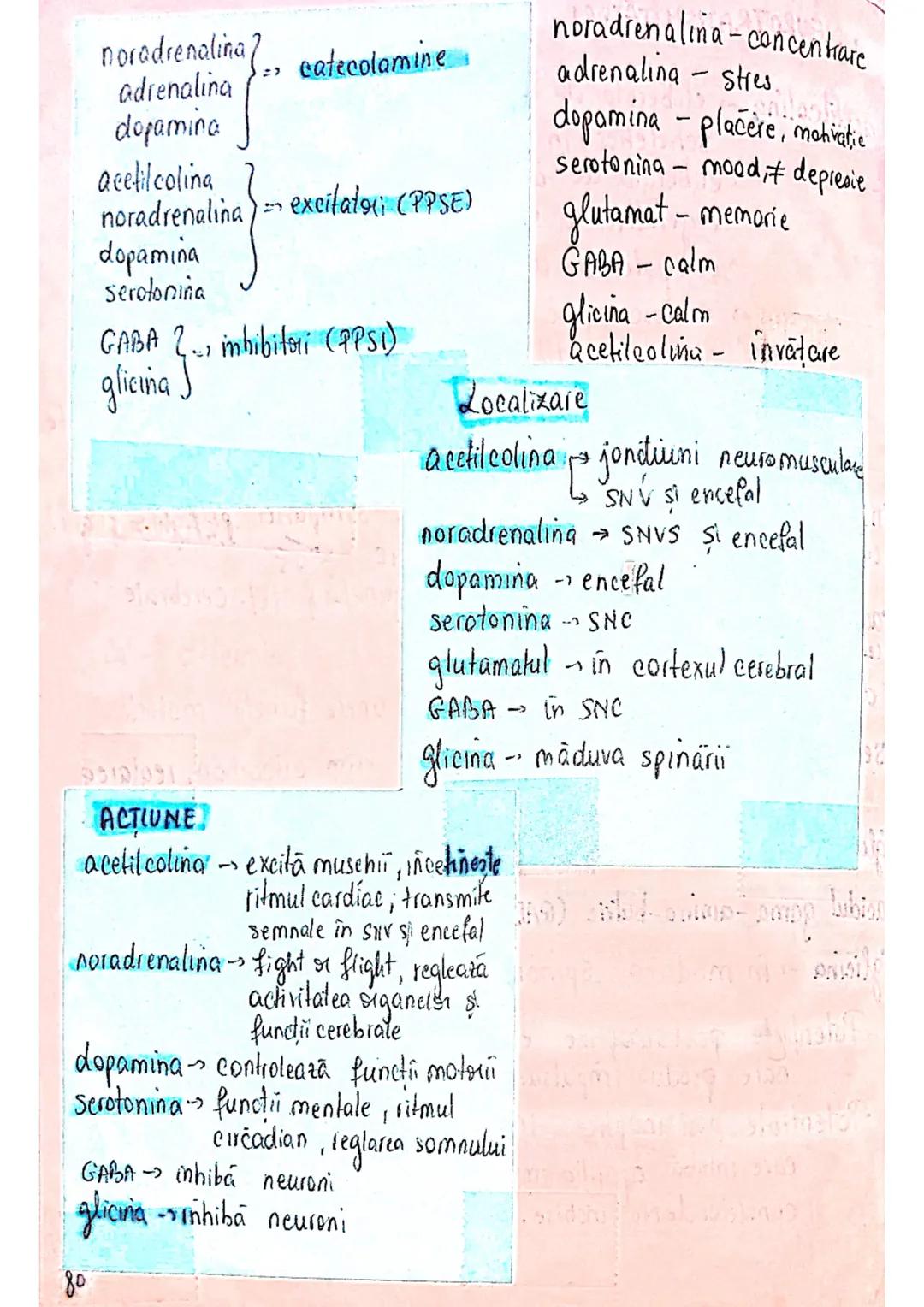 --- OCR Start ---
ROL
TESUTUL
NERVOS (ca mine)
→ coordonează procesele complexe din...
mediul intern
→ integrează organismul in mediul exter