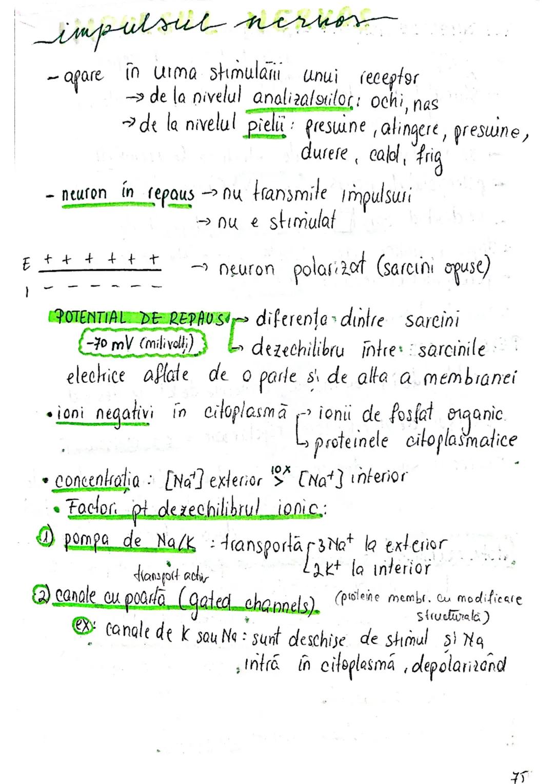 --- OCR Start ---
ROL
TESUTUL
NERVOS (ca mine)
→ coordonează procesele complexe din...
mediul intern
→ integrează organismul in mediul exter