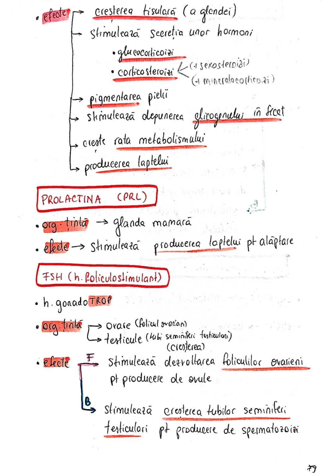 epifiza
hipofiza
tiroida (+ paratiroida)
timus
gl. suprarenale
Pancreas
Ovare
←
testicule --- OCR Start ---
glande indocrine
glande endocrin