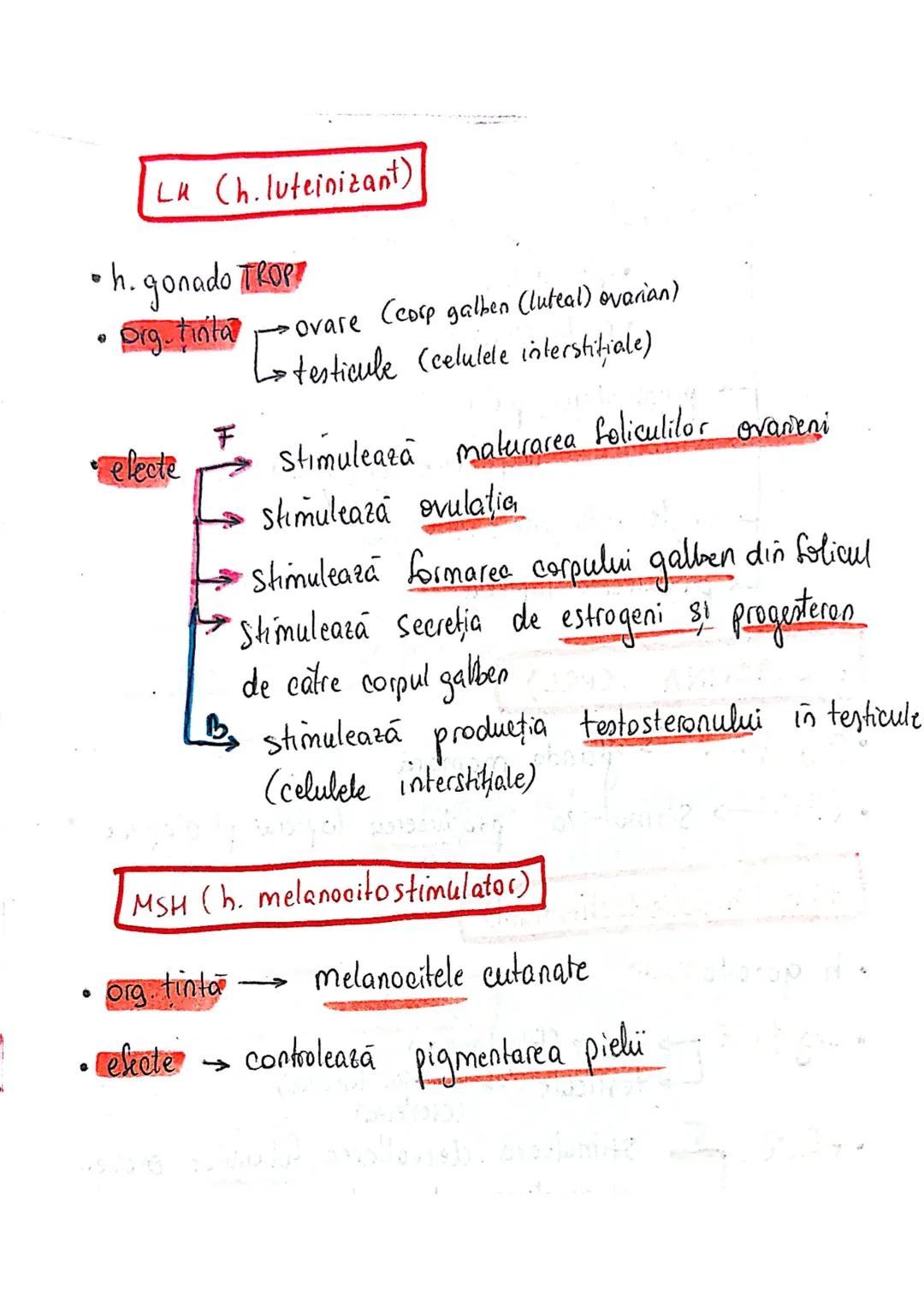 epifiza
hipofiza
tiroida (+ paratiroida)
timus
gl. suprarenale
Pancreas
Ovare
←
testicule --- OCR Start ---
glande indocrine
glande endocrin