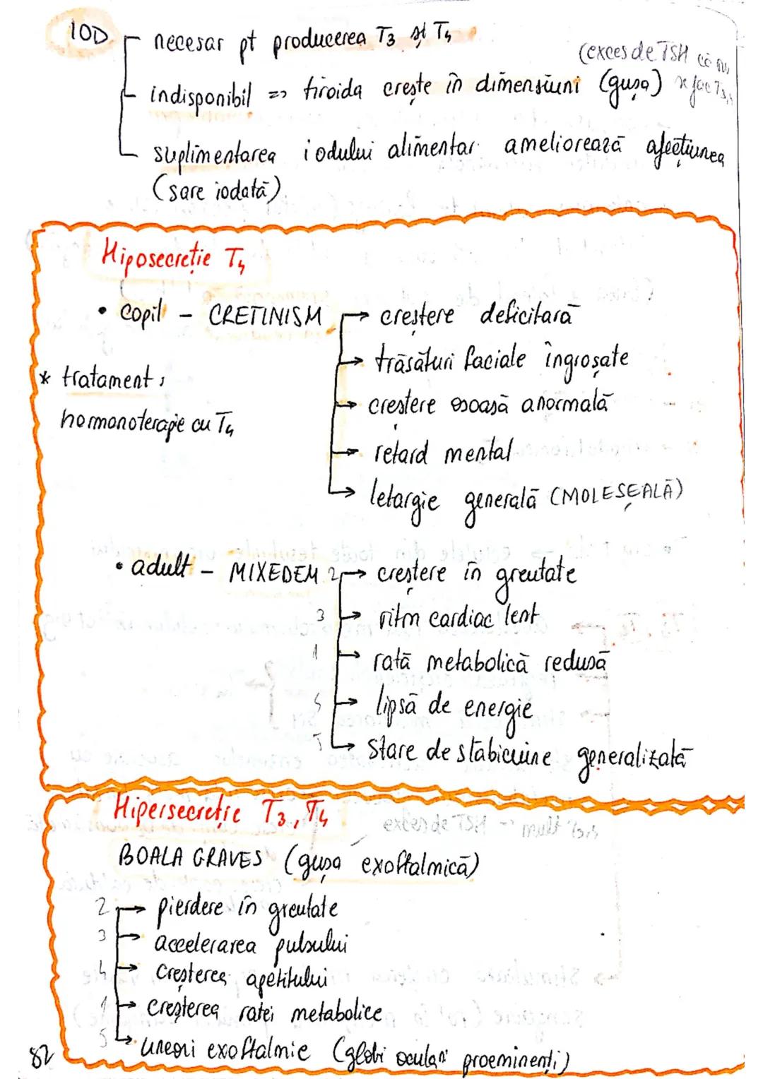 epifiza
hipofiza
tiroida (+ paratiroida)
timus
gl. suprarenale
Pancreas
Ovare
←
testicule --- OCR Start ---
glande indocrine
glande endocrin