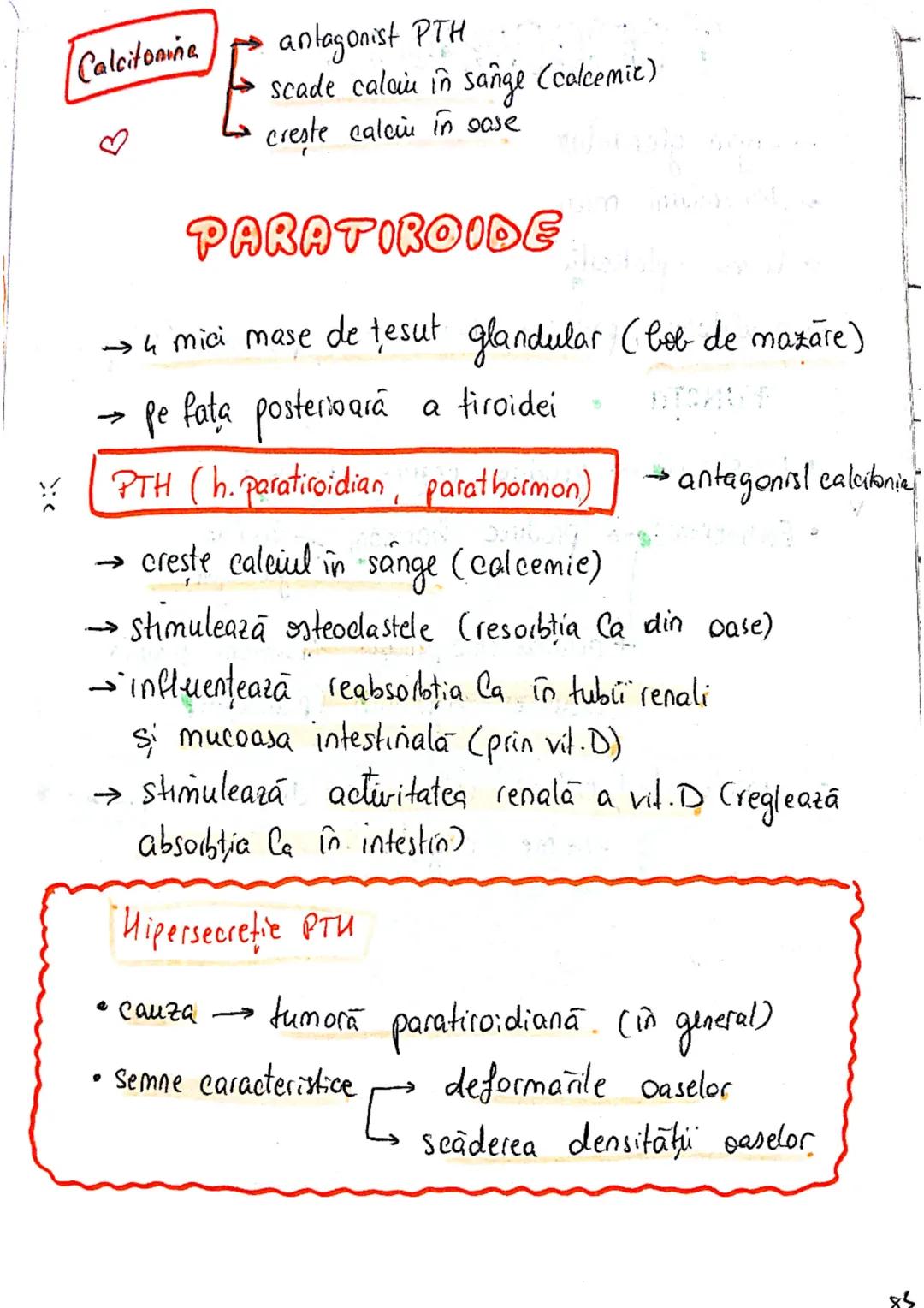 epifiza
hipofiza
tiroida (+ paratiroida)
timus
gl. suprarenale
Pancreas
Ovare
←
testicule --- OCR Start ---
glande indocrine
glande endocrin