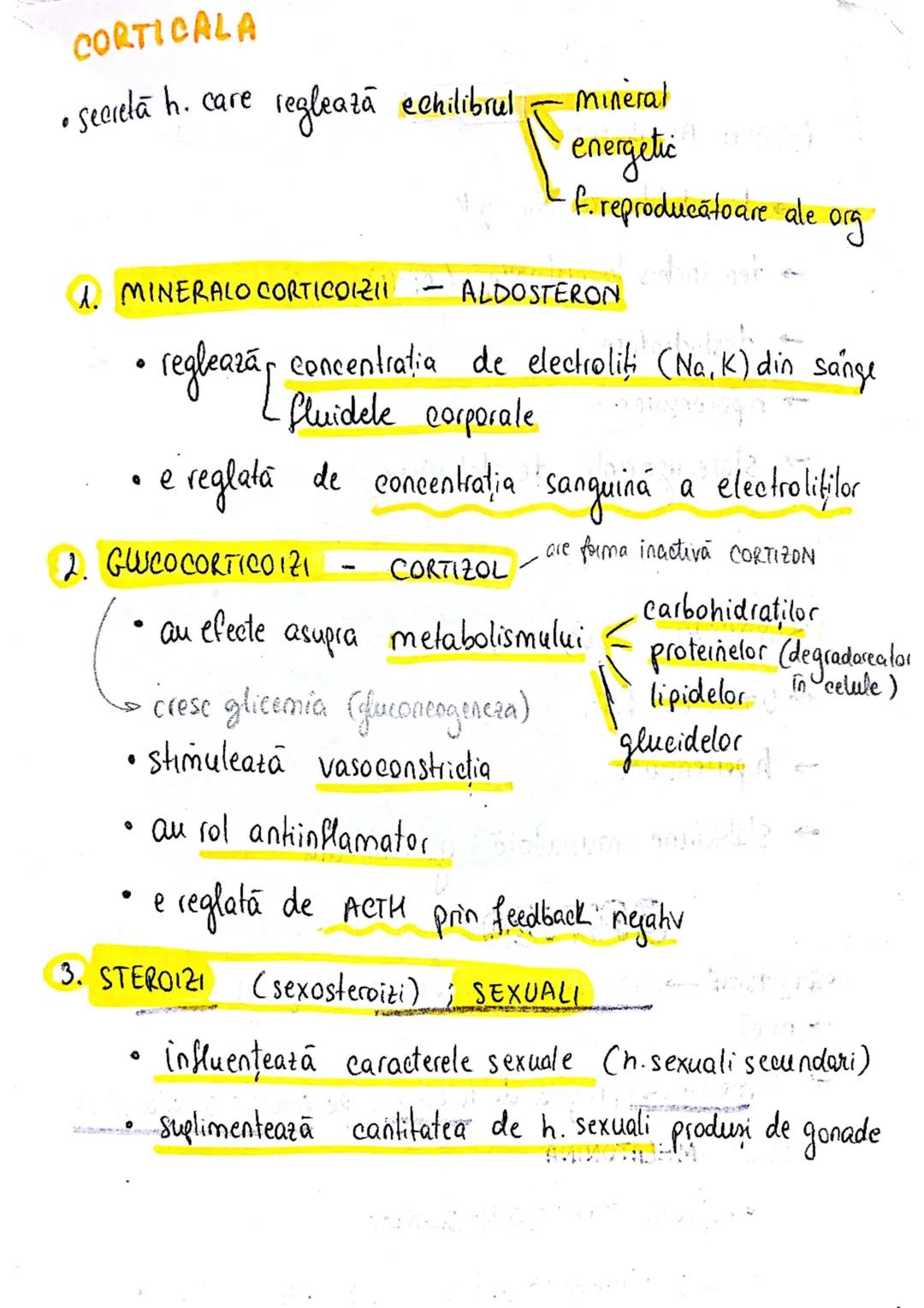 epifiza
hipofiza
tiroida (+ paratiroida)
timus
gl. suprarenale
Pancreas
Ovare
←
testicule --- OCR Start ---
glande indocrine
glande endocrin