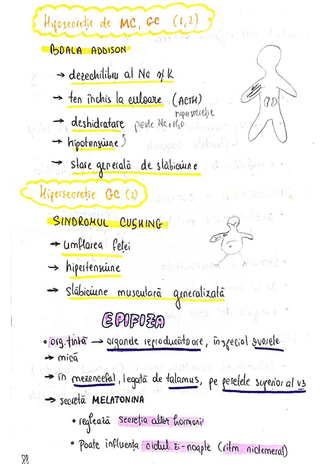 epifiza
hipofiza
tiroida (+ paratiroida)
timus
gl. suprarenale
Pancreas
Ovare
←
testicule --- OCR Start ---
glande indocrine
glande endocrin