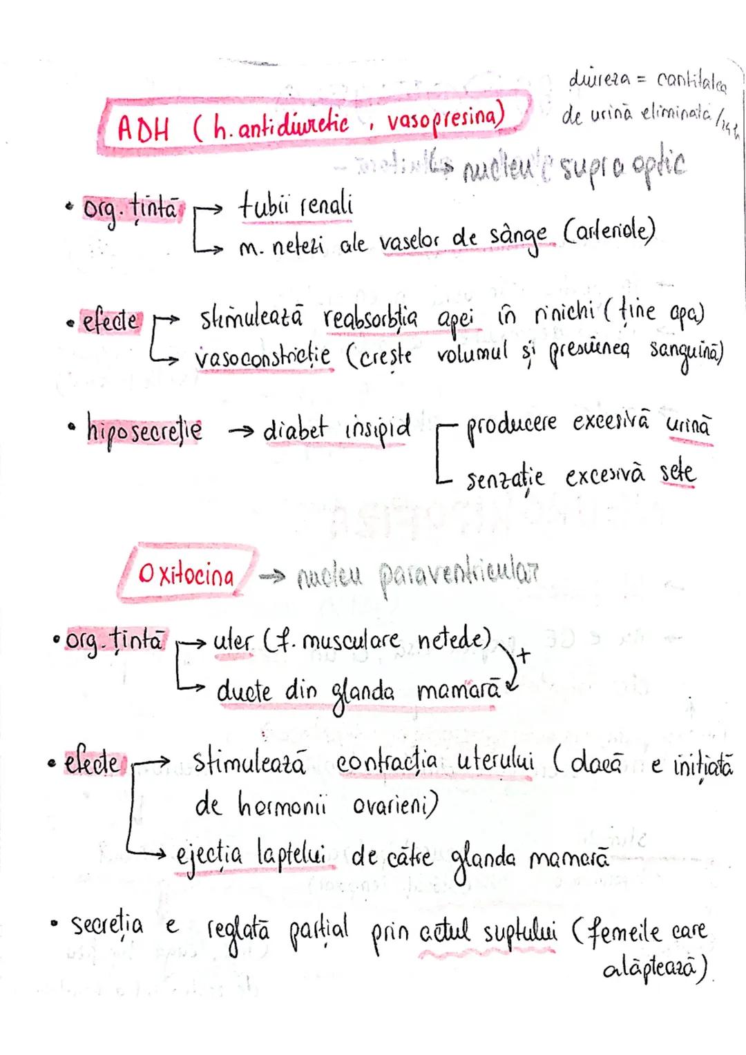 epifiza
hipofiza
tiroida (+ paratiroida)
timus
gl. suprarenale
Pancreas
Ovare
←
testicule --- OCR Start ---
glande indocrine
glande endocrin