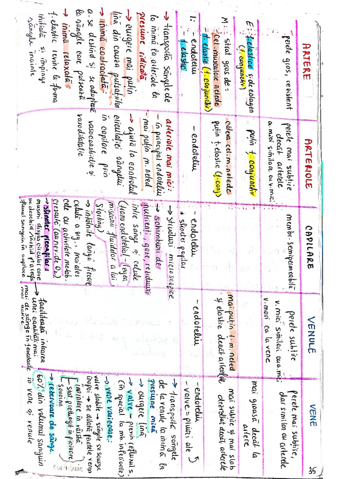 --- OCR Start ---
Sistemul cardiovascular
→ alcatuit din
(nima (pompa)
vase de sänge (set de tuburi)
→toate regiunile org. sunt deservite de