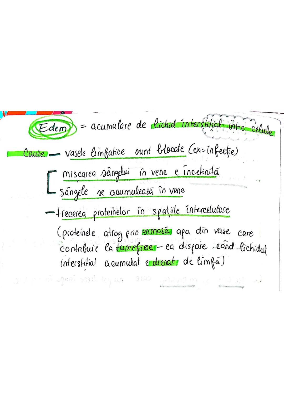 --- OCR Start ---
sistemul limfatic
• asemănător sist. Cv
[asigura nutrienți celulelor din tesuturi
[indeparteaza reziduurile metabolice din