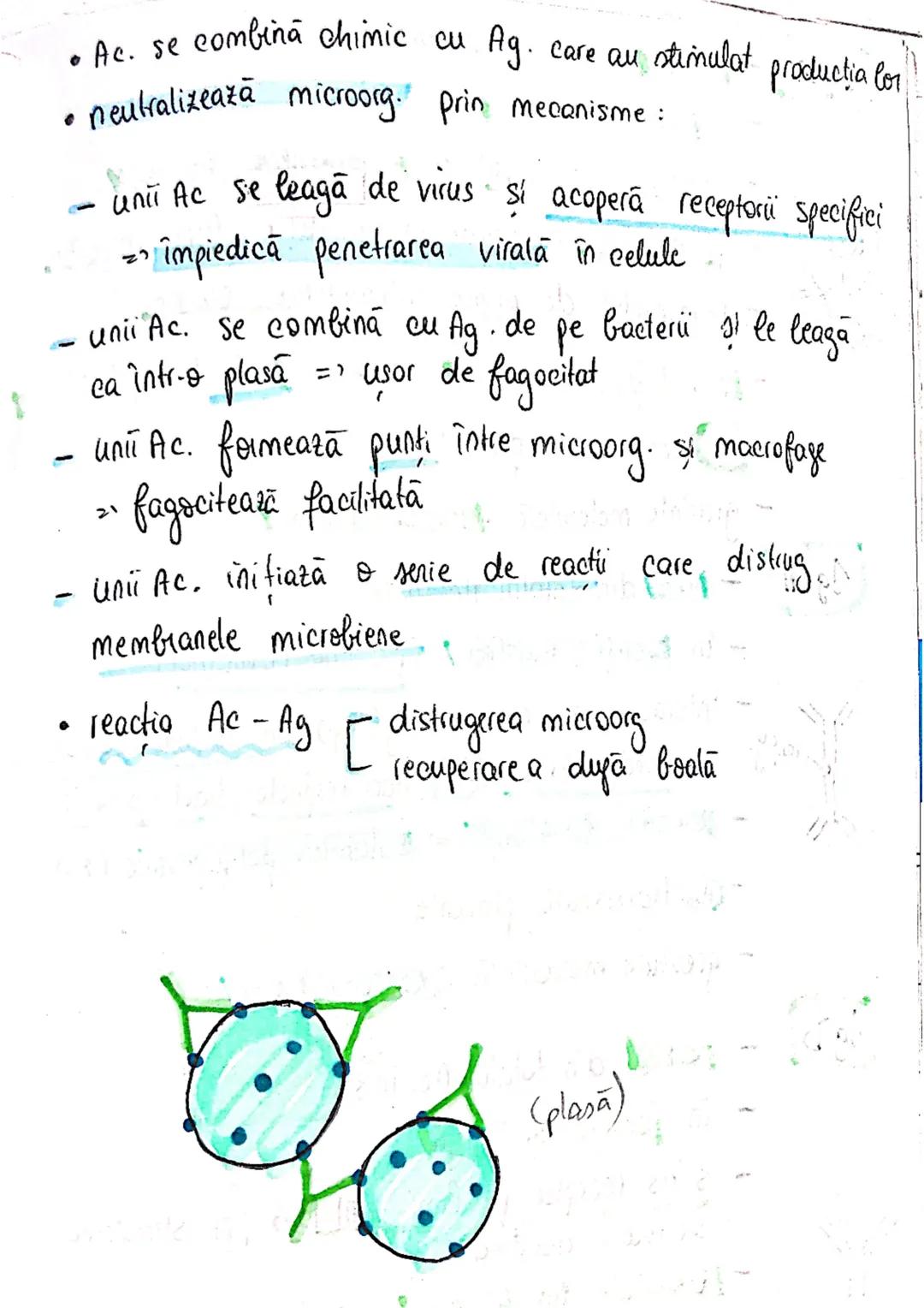 # Sistemul imun
→ asigură apararea (rezistența specifică a org. împotriva
microorg - si a molec, straine (în caz de boală)
→ alcatuit din