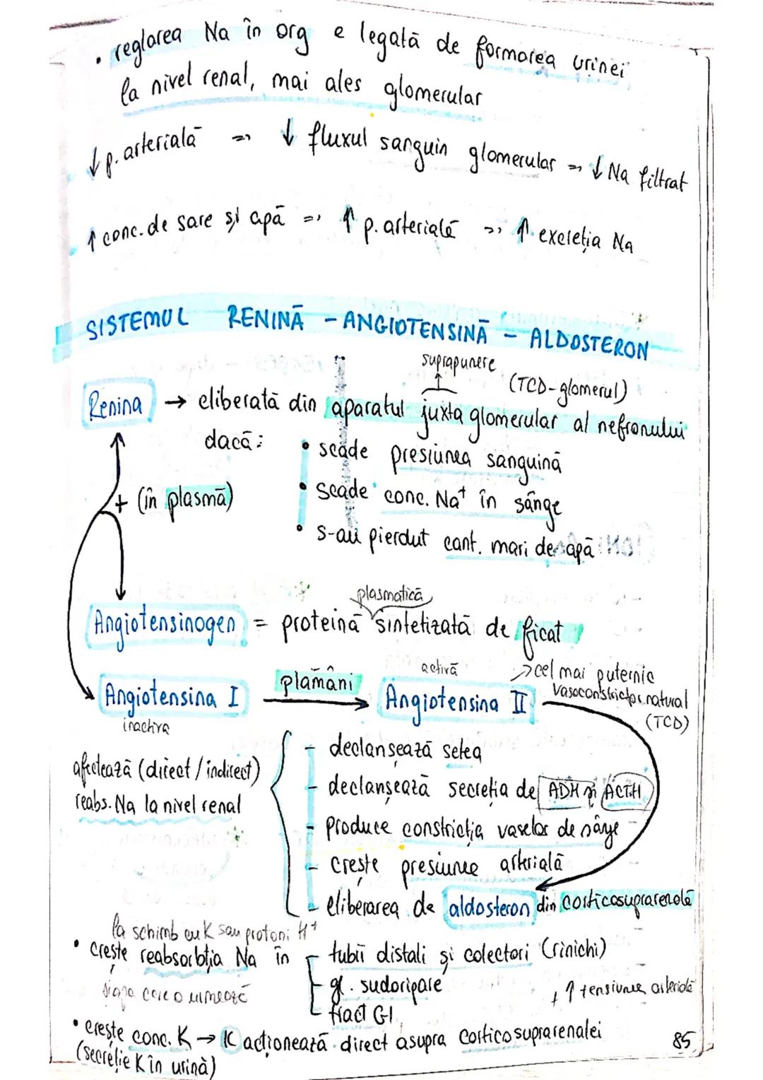 --- OCR Start ---
ECHILIBRUL
SI
HIDRO-ELECTROLITIC
ACIDO-BAZIC
homeostazia mediului intern depinde de echilibrul :
lichidelor
electrolitilor