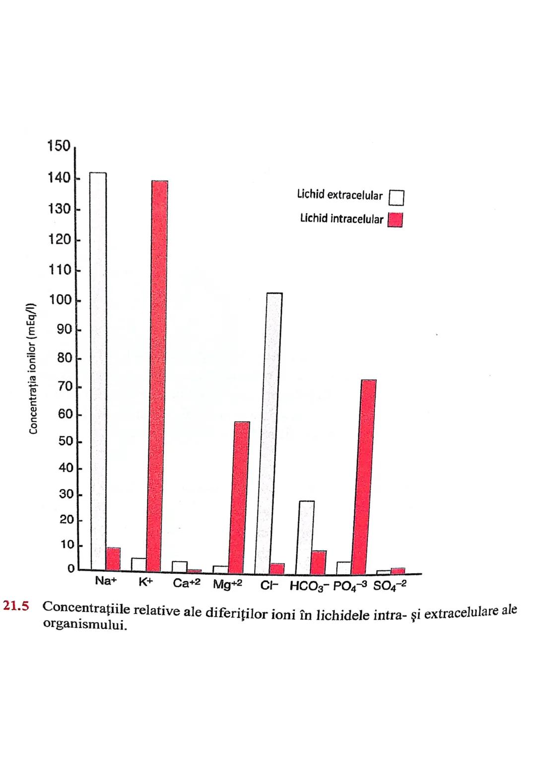--- OCR Start ---
ECHILIBRUL
SI
HIDRO-ELECTROLITIC
ACIDO-BAZIC
homeostazia mediului intern depinde de echilibrul :
lichidelor
electrolitilor