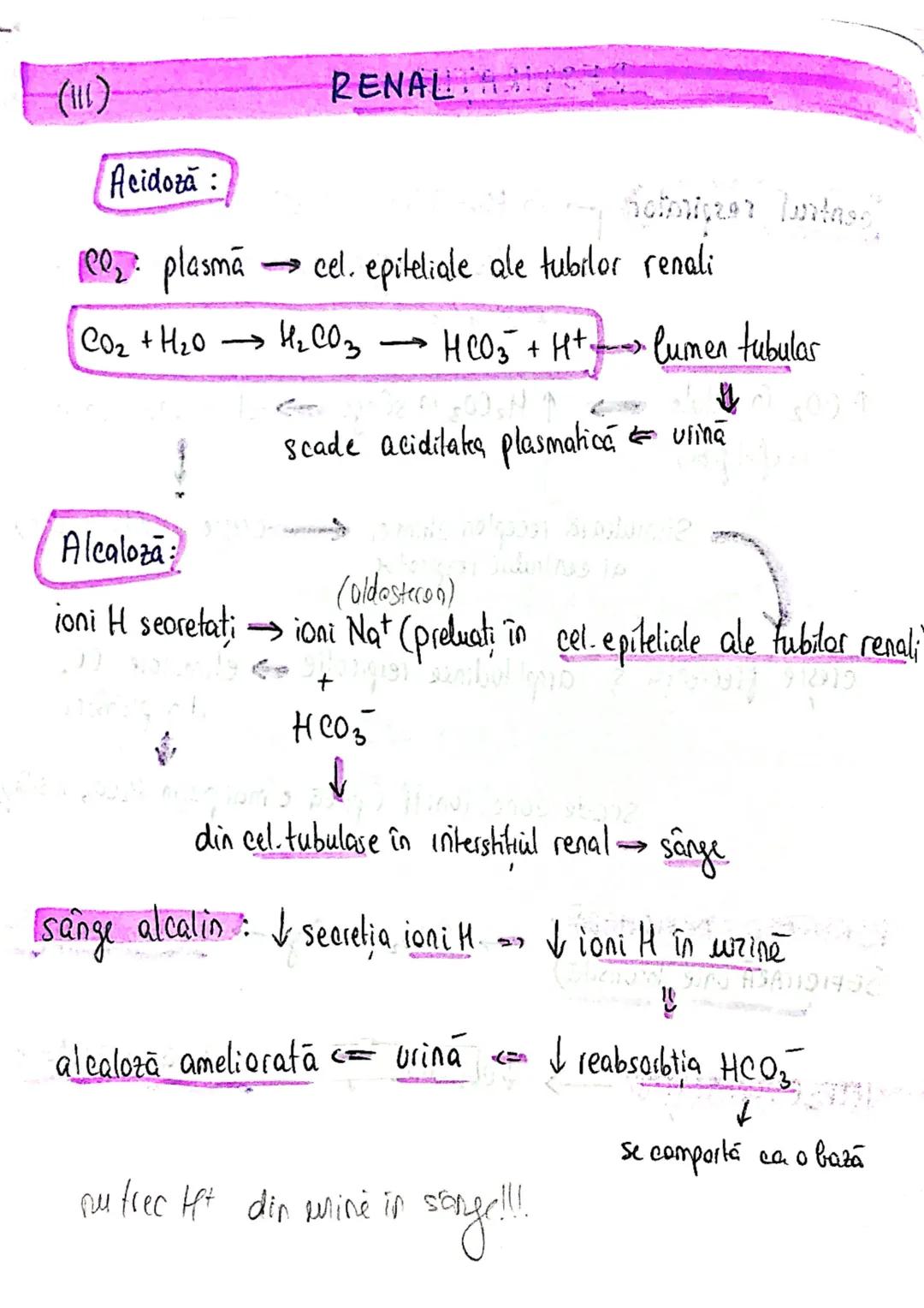 --- OCR Start ---
ECHILIBRUL
SI
HIDRO-ELECTROLITIC
ACIDO-BAZIC
homeostazia mediului intern depinde de echilibrul :
lichidelor
electrolitilor