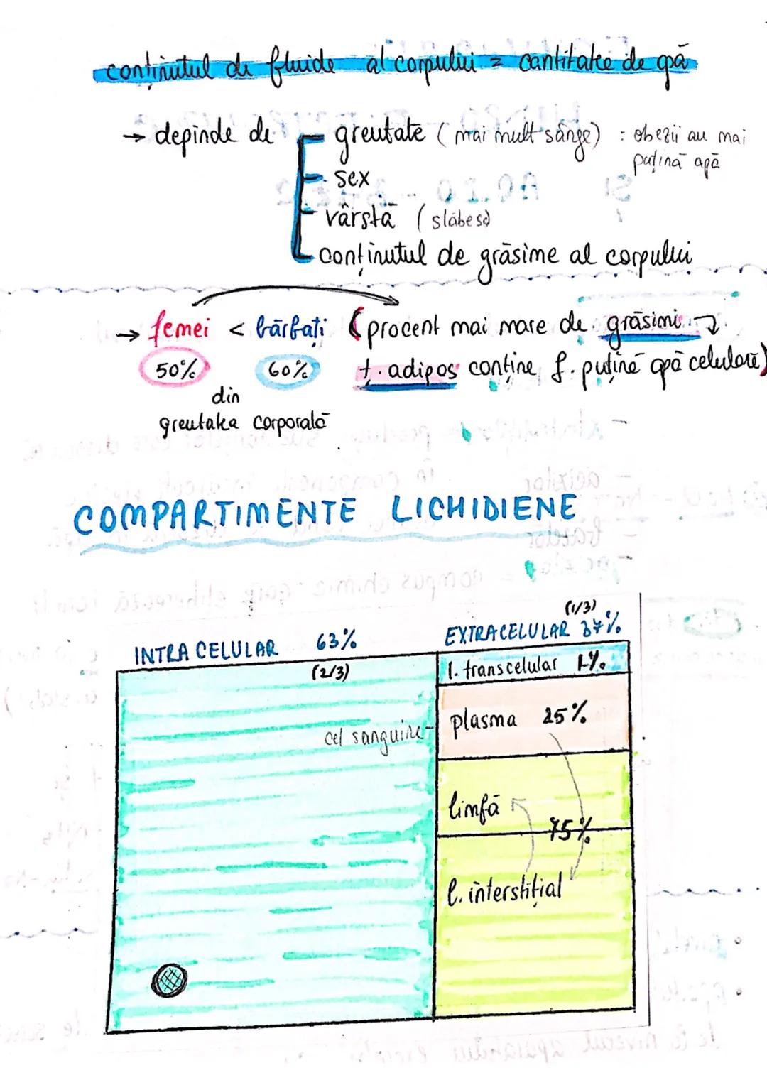 --- OCR Start ---
ECHILIBRUL
SI
HIDRO-ELECTROLITIC
ACIDO-BAZIC
homeostazia mediului intern depinde de echilibrul :
lichidelor
electrolitilor