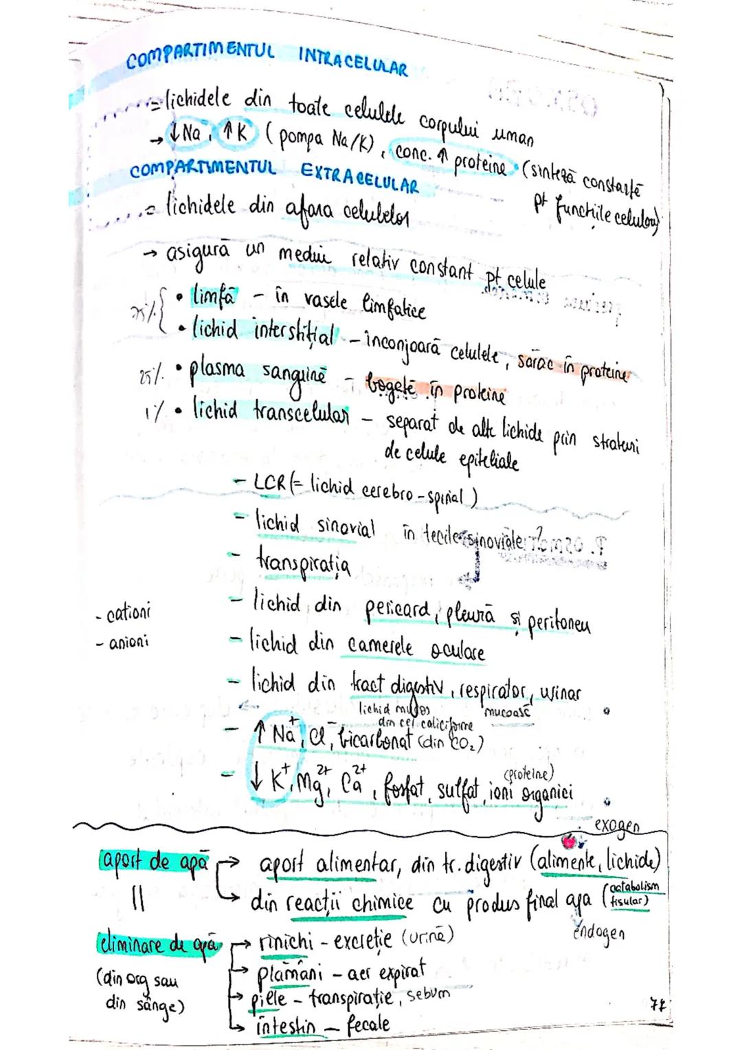 --- OCR Start ---
ECHILIBRUL
SI
HIDRO-ELECTROLITIC
ACIDO-BAZIC
homeostazia mediului intern depinde de echilibrul :
lichidelor
electrolitilor