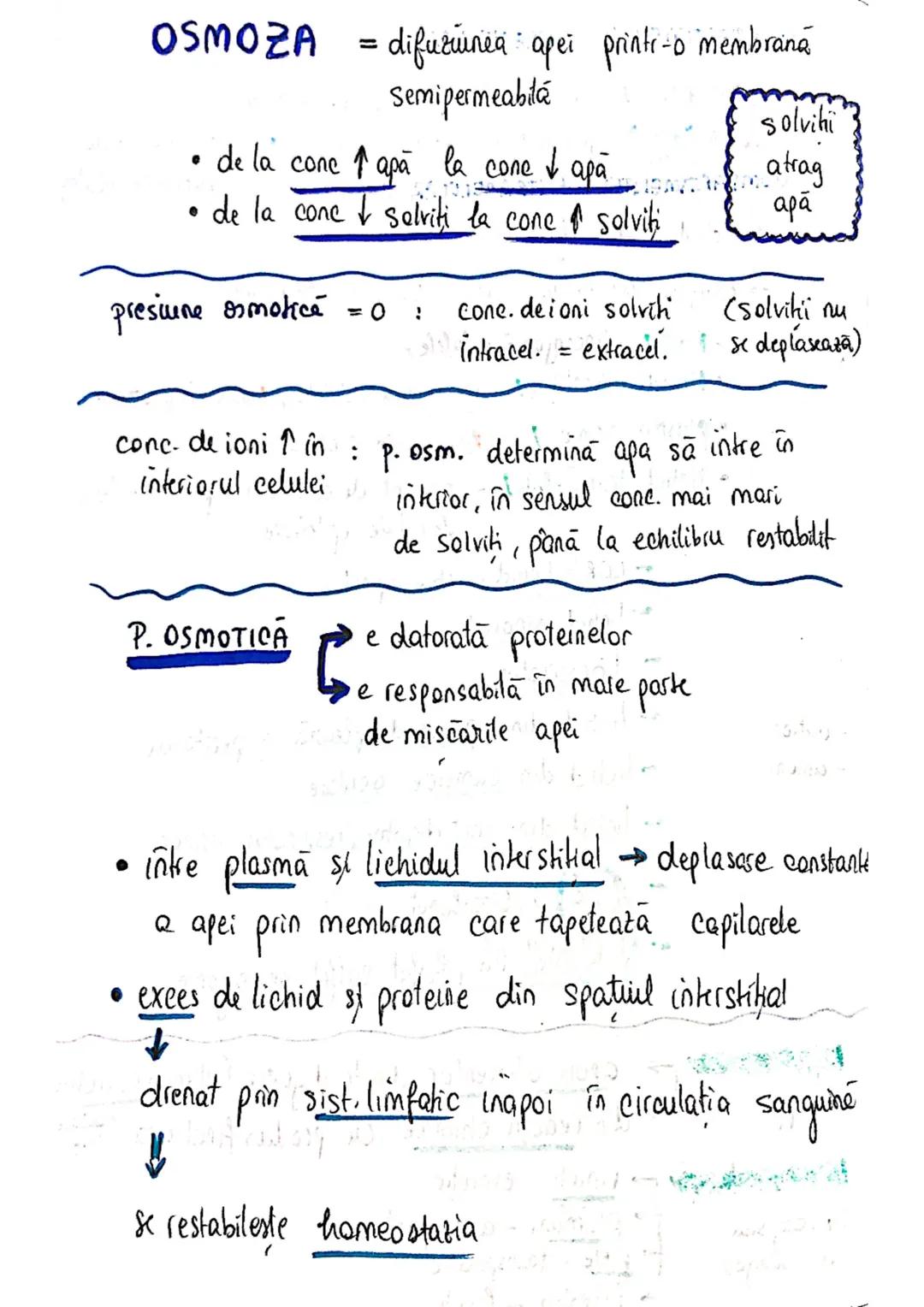 --- OCR Start ---
ECHILIBRUL
SI
HIDRO-ELECTROLITIC
ACIDO-BAZIC
homeostazia mediului intern depinde de echilibrul :
lichidelor
electrolitilor