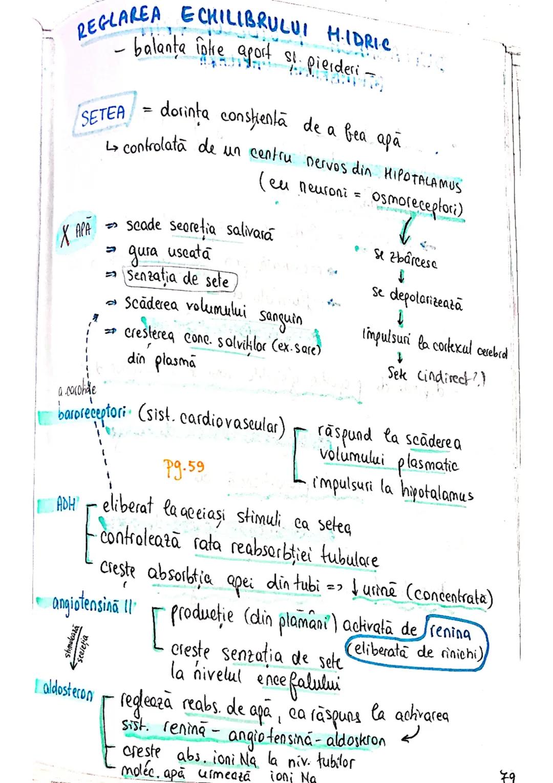 --- OCR Start ---
ECHILIBRUL
SI
HIDRO-ELECTROLITIC
ACIDO-BAZIC
homeostazia mediului intern depinde de echilibrul :
lichidelor
electrolitilor