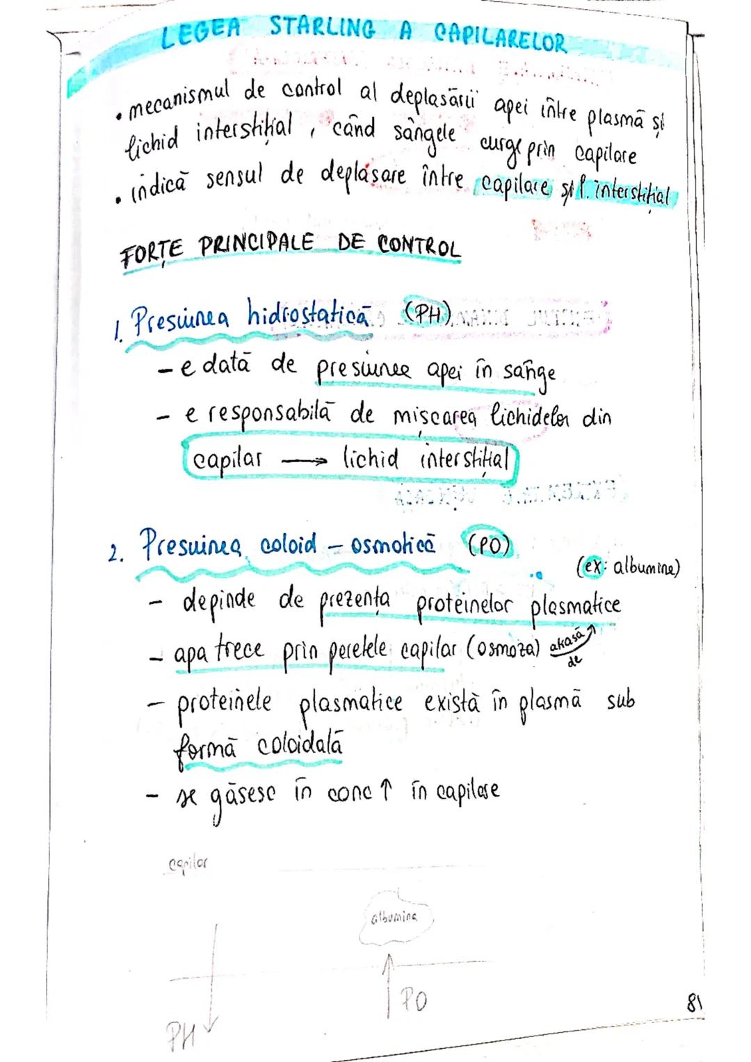 --- OCR Start ---
ECHILIBRUL
SI
HIDRO-ELECTROLITIC
ACIDO-BAZIC
homeostazia mediului intern depinde de echilibrul :
lichidelor
electrolitilor