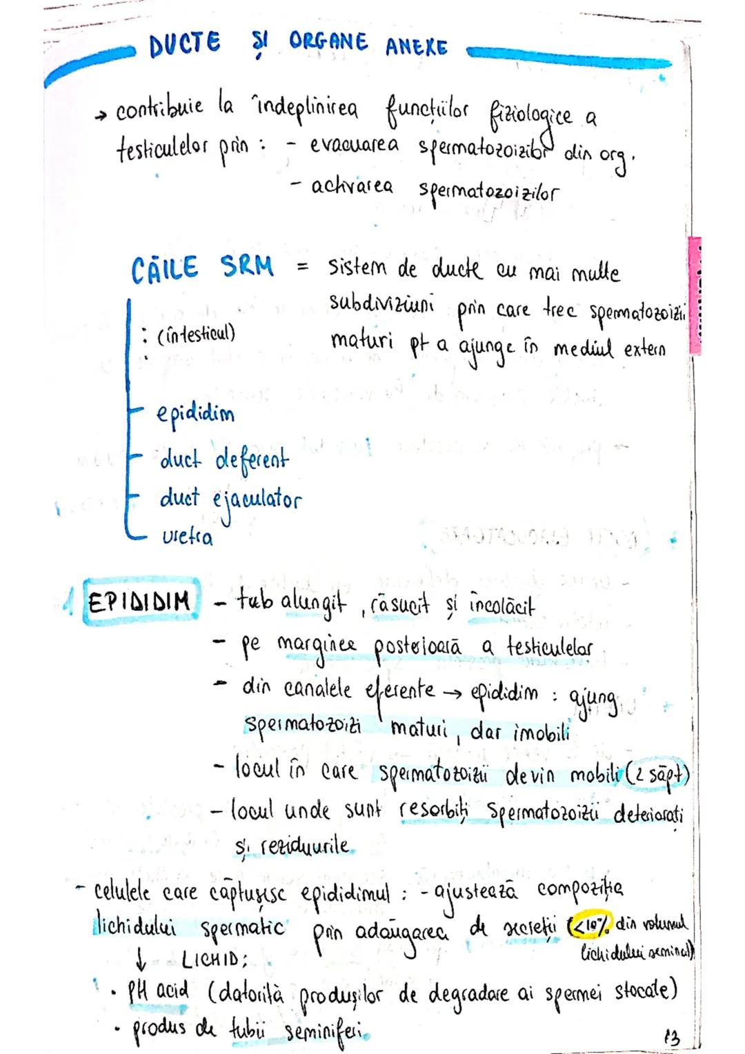 --- OCR Start ---
SISTEMUL
REPRODUCATOR
masculin
- e responsabil pt - producerea
Stocarea
gameti
= celule reproducătoare spermatozoizi
nutri