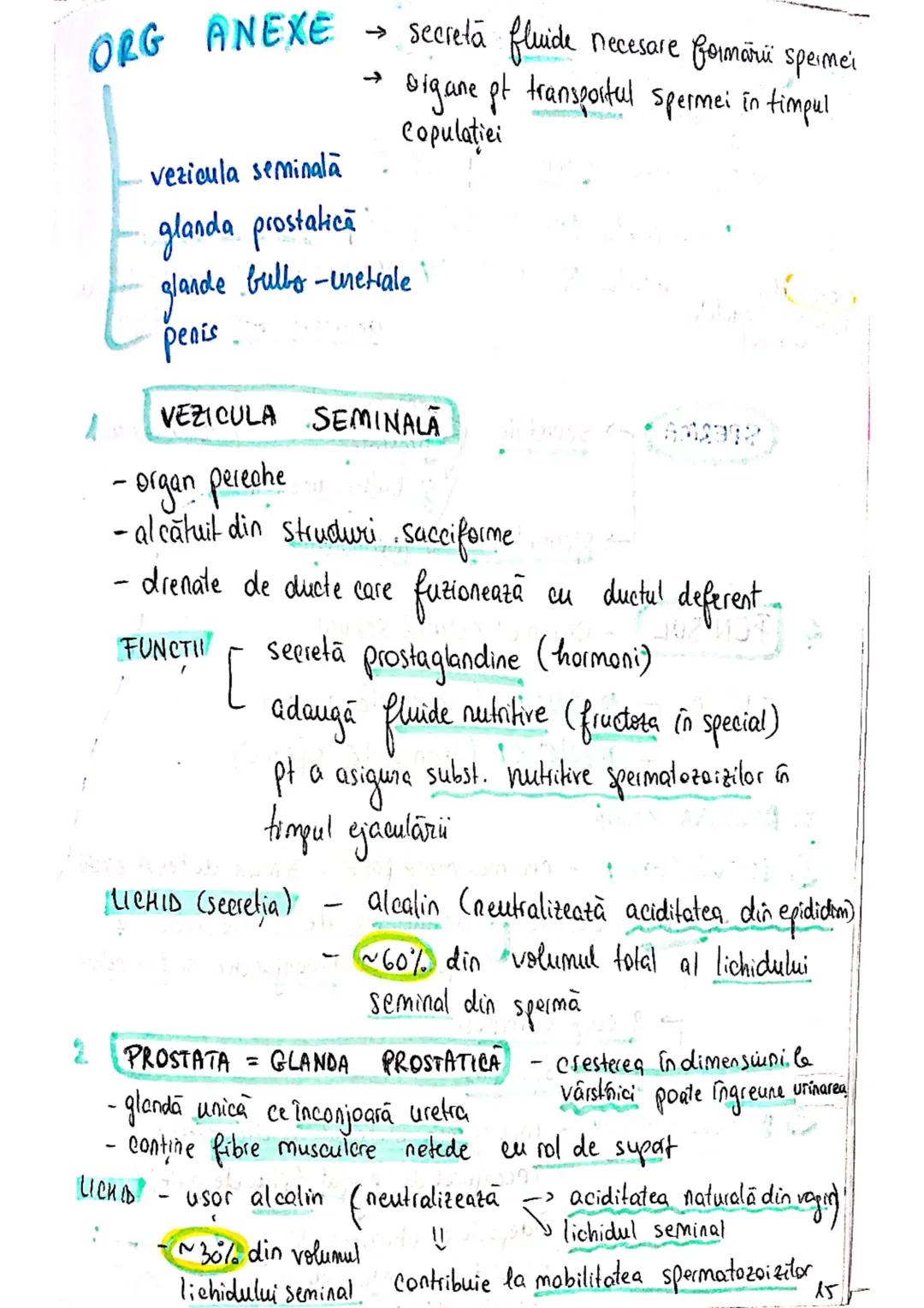 --- OCR Start ---
SISTEMUL
REPRODUCATOR
masculin
- e responsabil pt - producerea
Stocarea
gameti
= celule reproducătoare spermatozoizi
nutri