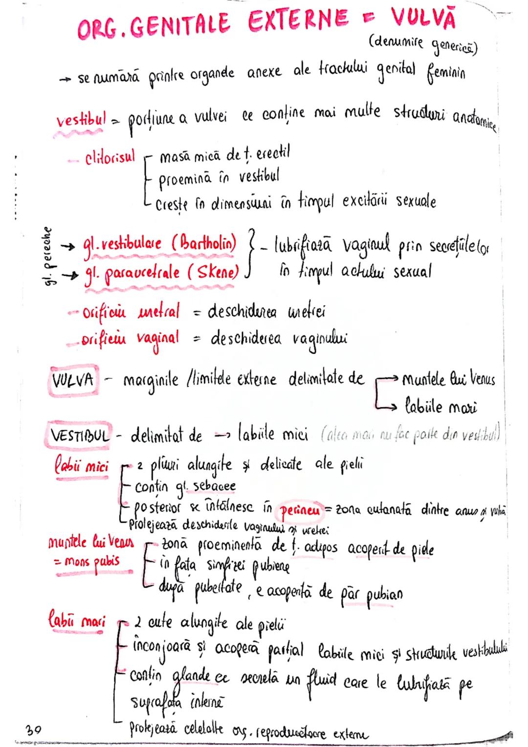 20
SISTEMUL REPRODUCATOR
feminin
•e responsabil pt - producerea
Inmagazinarea
hranirea
transportul
gameti = celule reproducătoare
gonade (ov