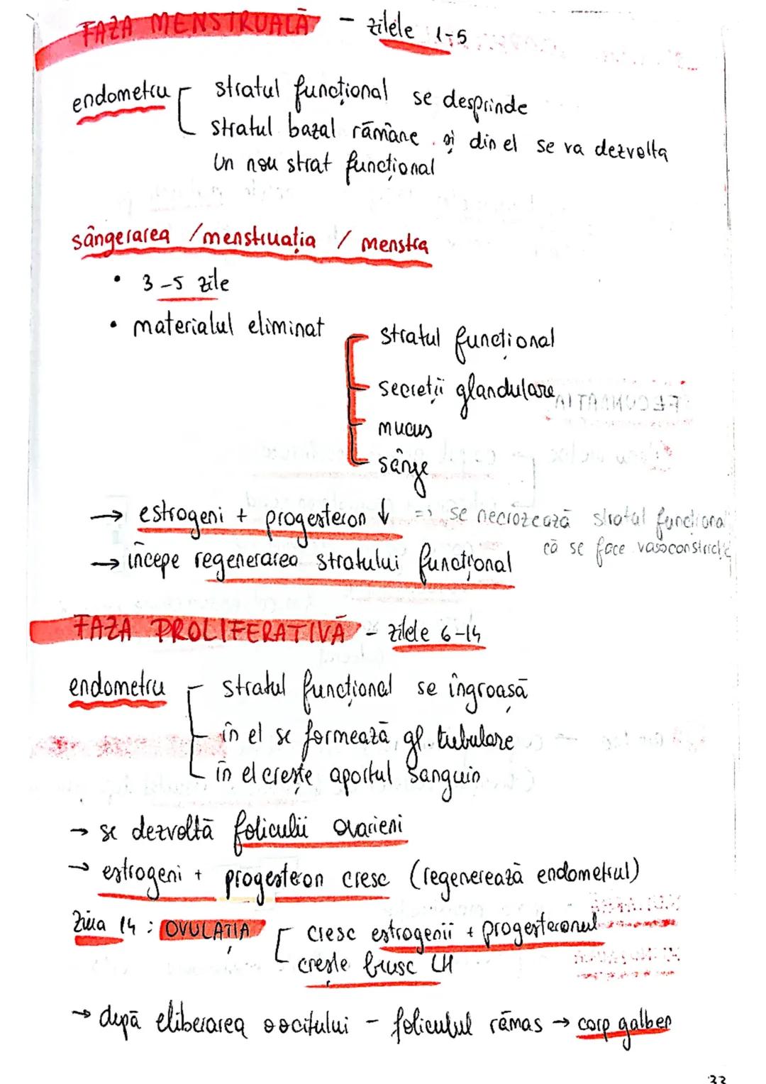 20
SISTEMUL REPRODUCATOR
feminin
•e responsabil pt - producerea
Inmagazinarea
hranirea
transportul
gameti = celule reproducătoare
gonade (ov