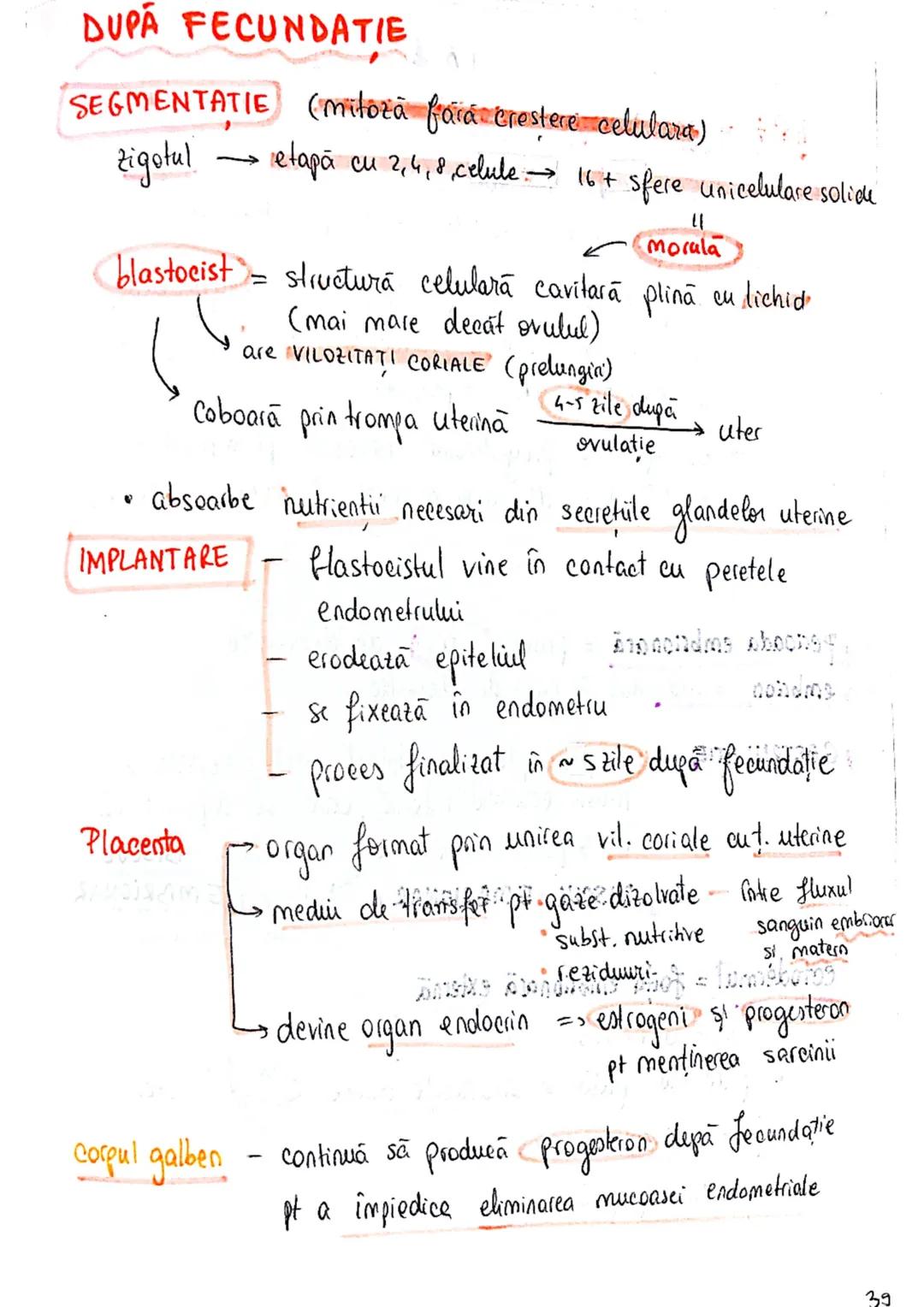 20
SISTEMUL REPRODUCATOR
feminin
•e responsabil pt - producerea
Inmagazinarea
hranirea
transportul
gameti = celule reproducătoare
gonade (ov