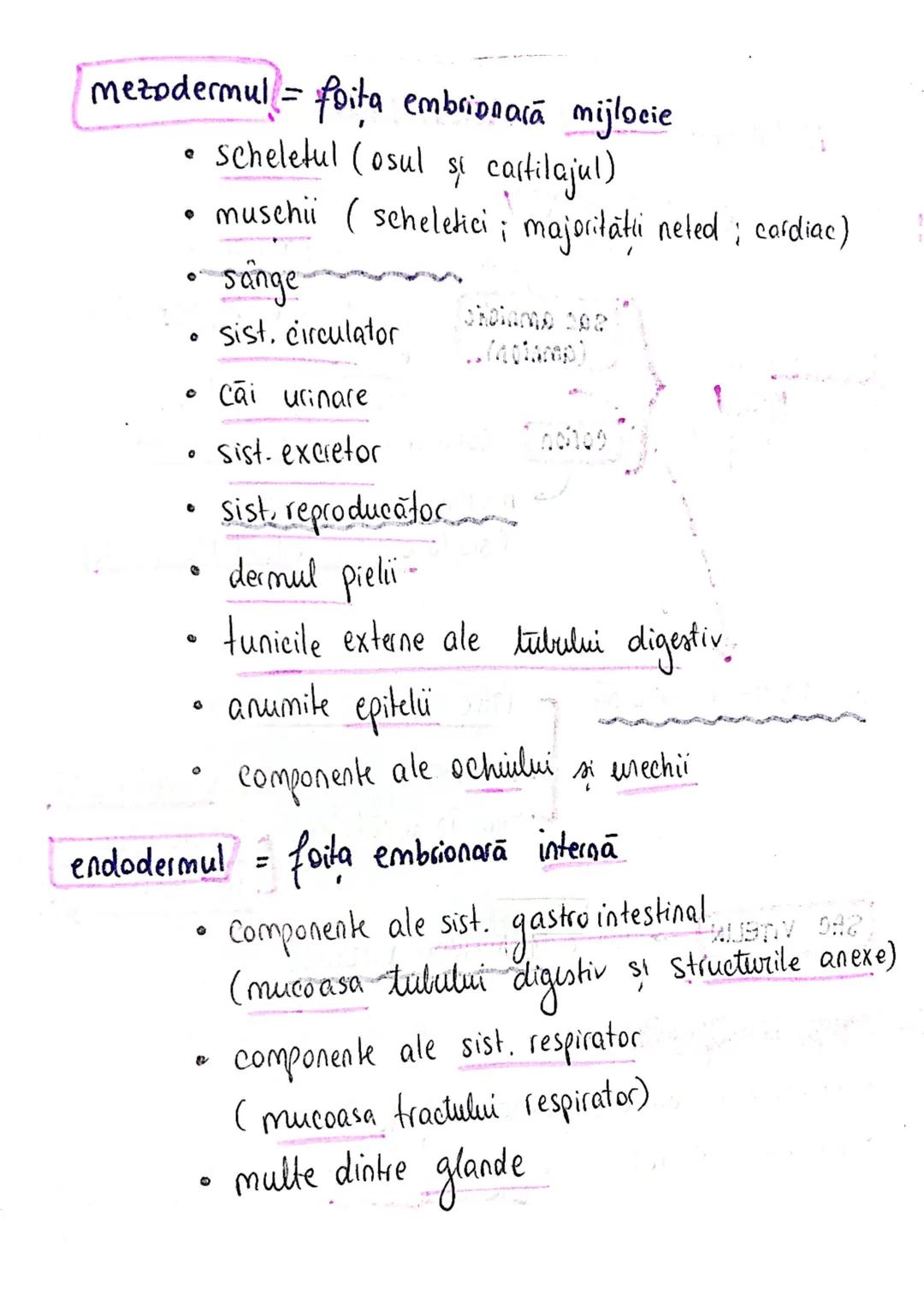 20
SISTEMUL REPRODUCATOR
feminin
•e responsabil pt - producerea
Inmagazinarea
hranirea
transportul
gameti = celule reproducătoare
gonade (ov