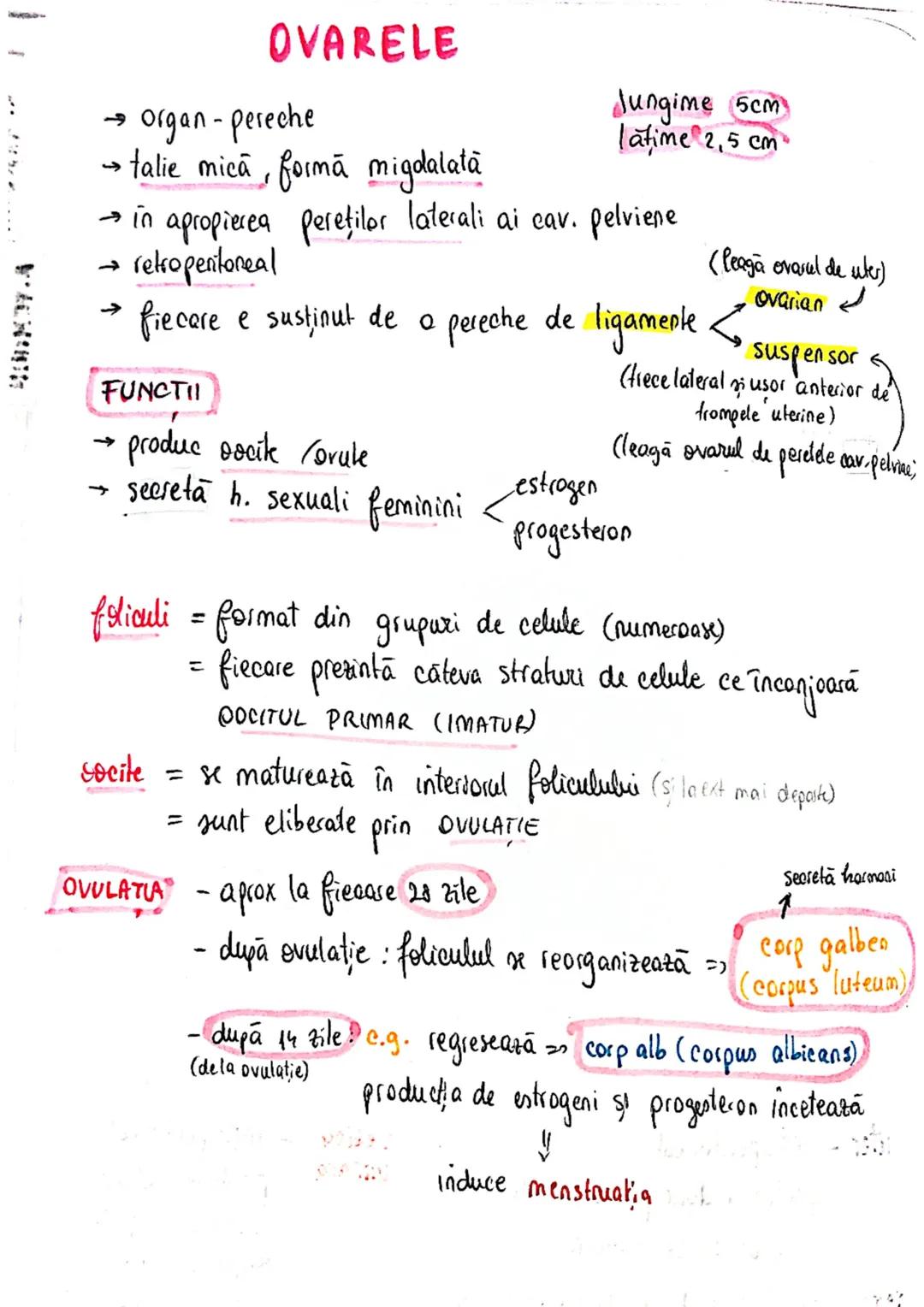 20
SISTEMUL REPRODUCATOR
feminin
•e responsabil pt - producerea
Inmagazinarea
hranirea
transportul
gameti = celule reproducătoare
gonade (ov