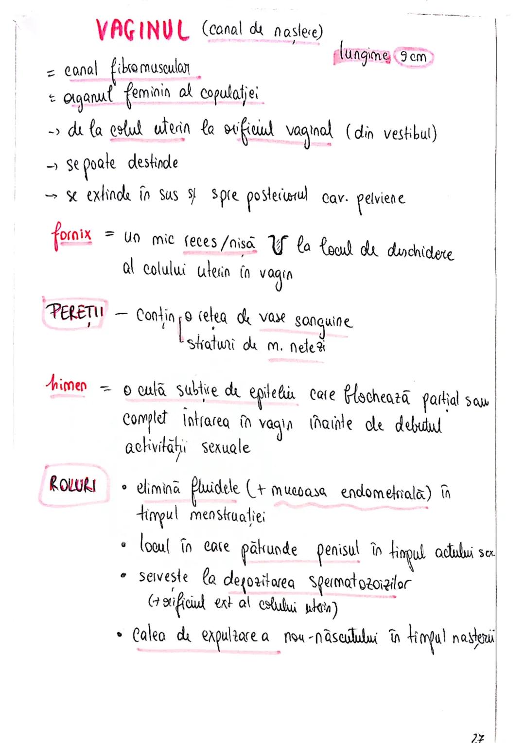 20
SISTEMUL REPRODUCATOR
feminin
•e responsabil pt - producerea
Inmagazinarea
hranirea
transportul
gameti = celule reproducătoare
gonade (ov