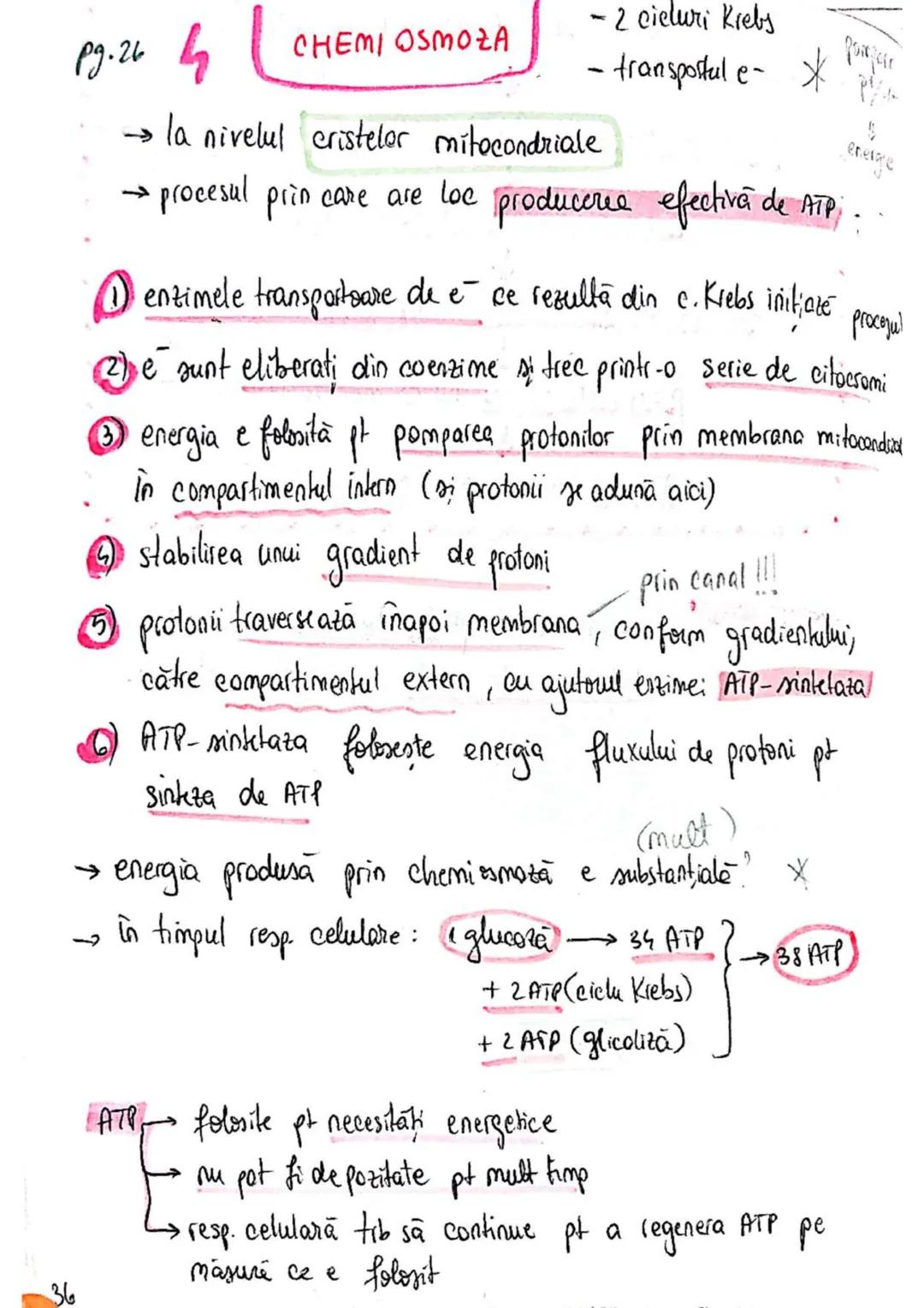 t
・Metabotasm
श्र
+
+
+
With the
METABOLISMUL = totalitatea proceselor fizice şi
principalele
component/cai
chimice
care au loc în CELULA
AN