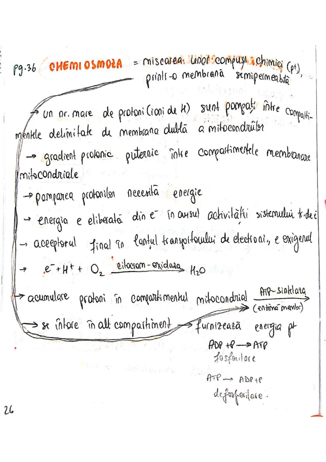 t
・Metabotasm
श्र
+
+
+
With the
METABOLISMUL = totalitatea proceselor fizice şi
principalele
component/cai
chimice
care au loc în CELULA
AN