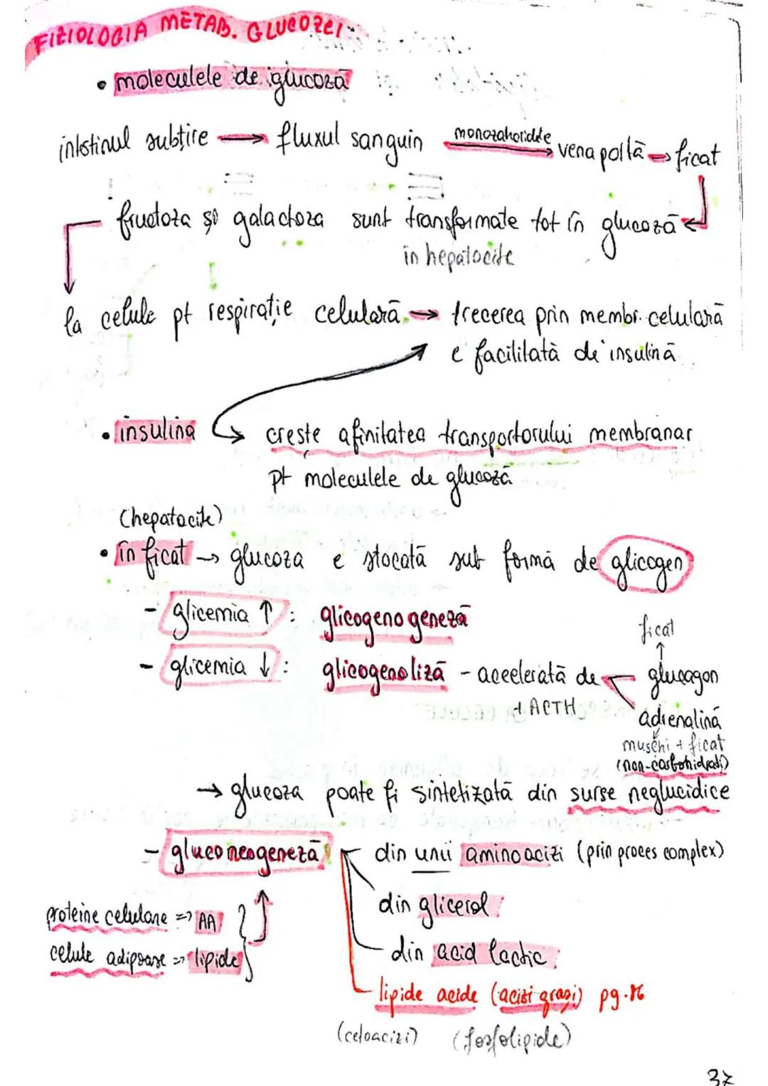 t
・Metabotasm
श्र
+
+
+
With the
METABOLISMUL = totalitatea proceselor fizice şi
principalele
component/cai
chimice
care au loc în CELULA
AN