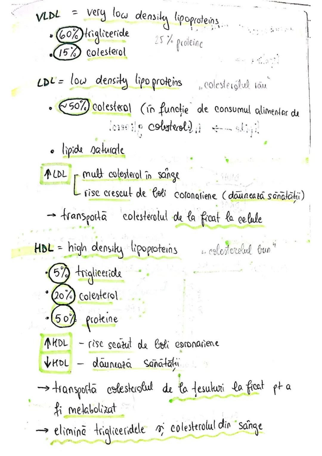 t
・Metabotasm
श्र
+
+
+
With the
METABOLISMUL = totalitatea proceselor fizice şi
principalele
component/cai
chimice
care au loc în CELULA
AN