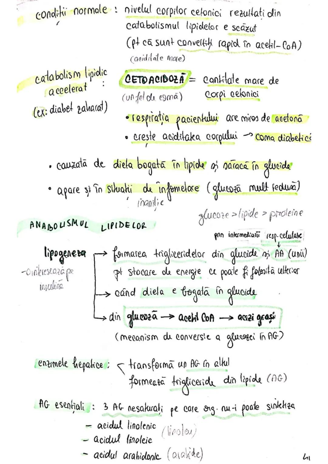 t
・Metabotasm
श्र
+
+
+
With the
METABOLISMUL = totalitatea proceselor fizice şi
principalele
component/cai
chimice
care au loc în CELULA
AN