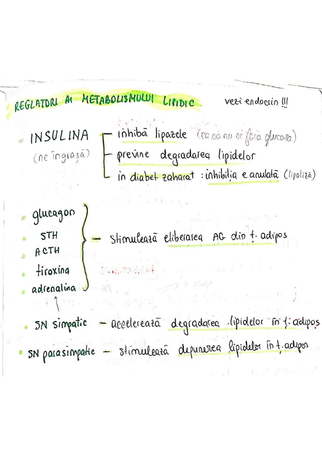 t
・Metabotasm
श्र
+
+
+
With the
METABOLISMUL = totalitatea proceselor fizice şi
principalele
component/cai
chimice
care au loc în CELULA
AN