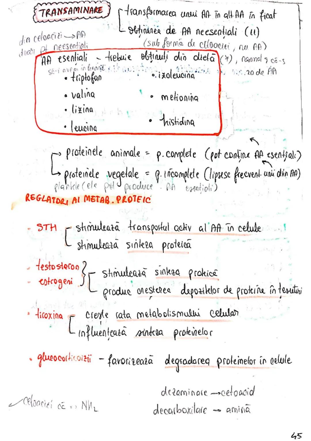 t
・Metabotasm
श्र
+
+
+
With the
METABOLISMUL = totalitatea proceselor fizice şi
principalele
component/cai
chimice
care au loc în CELULA
AN