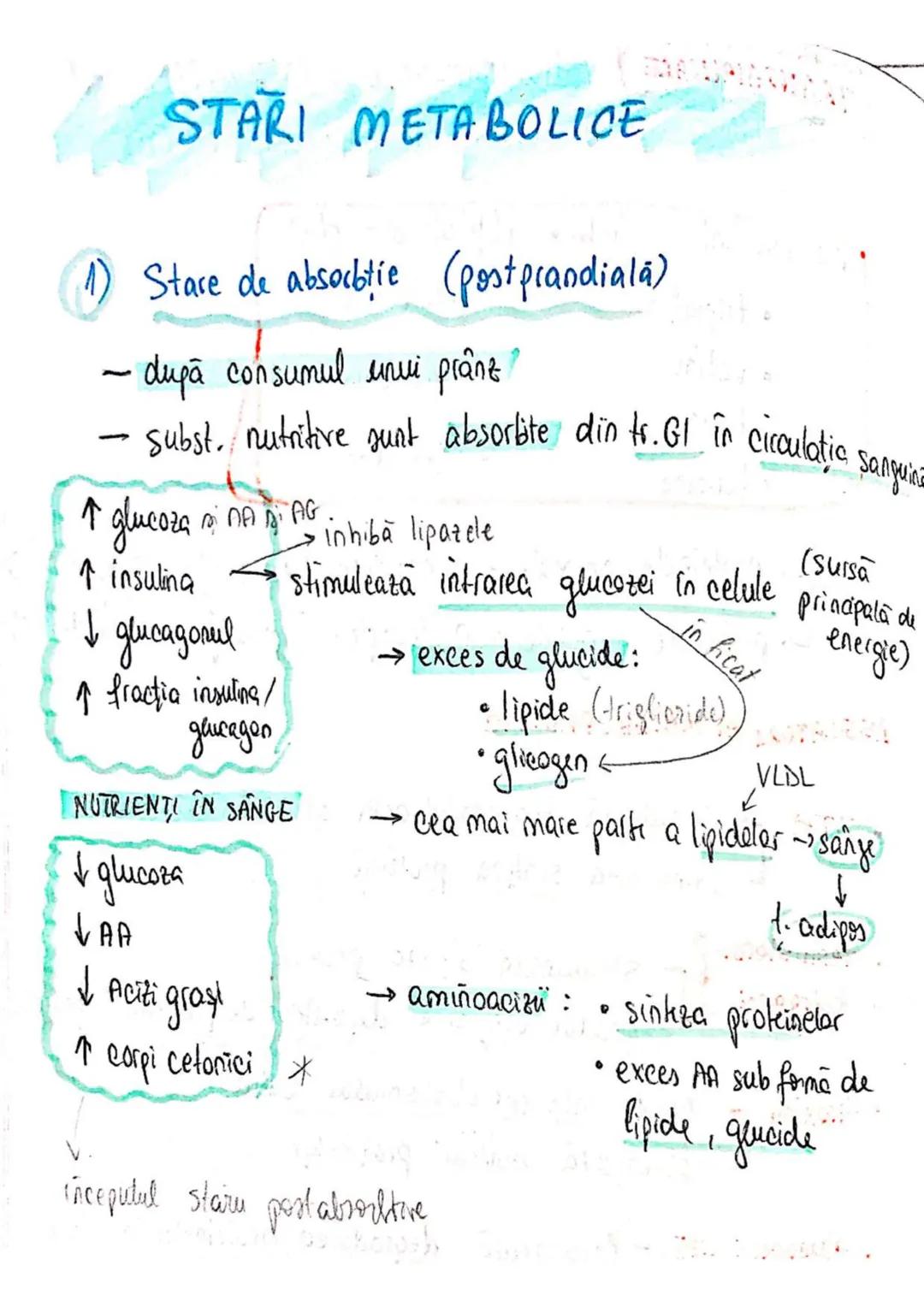 t
・Metabotasm
श्र
+
+
+
With the
METABOLISMUL = totalitatea proceselor fizice şi
principalele
component/cai
chimice
care au loc în CELULA
AN