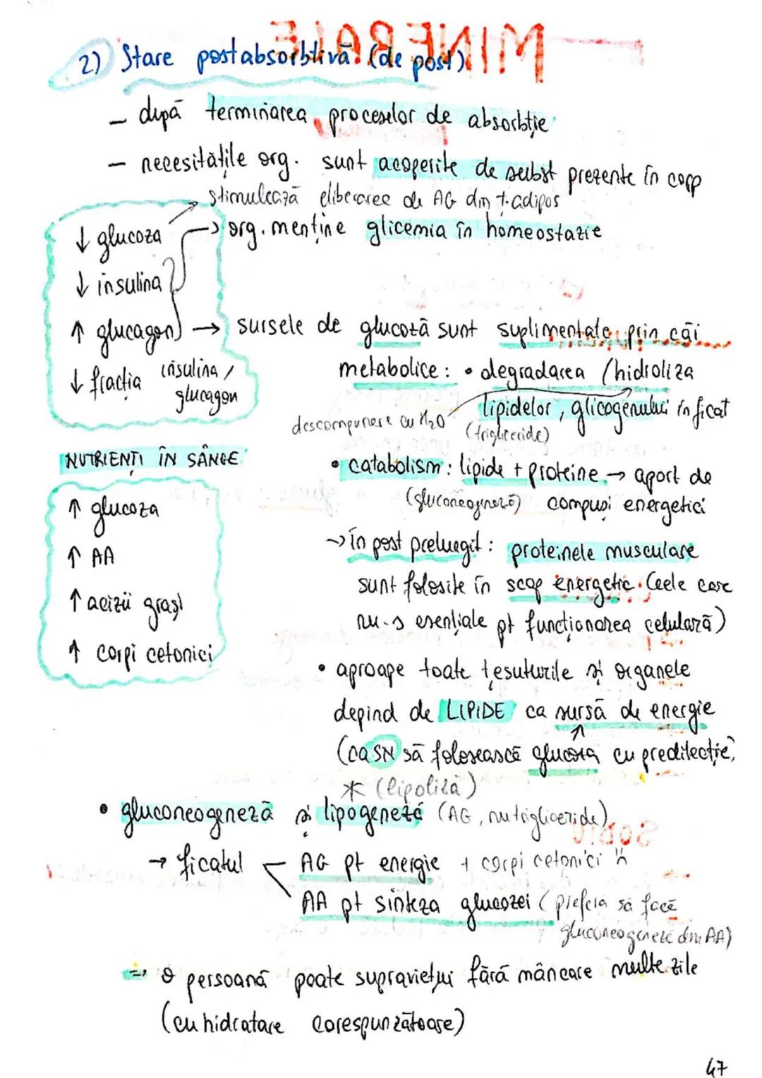 t
・Metabotasm
श्र
+
+
+
With the
METABOLISMUL = totalitatea proceselor fizice şi
principalele
component/cai
chimice
care au loc în CELULA
AN
