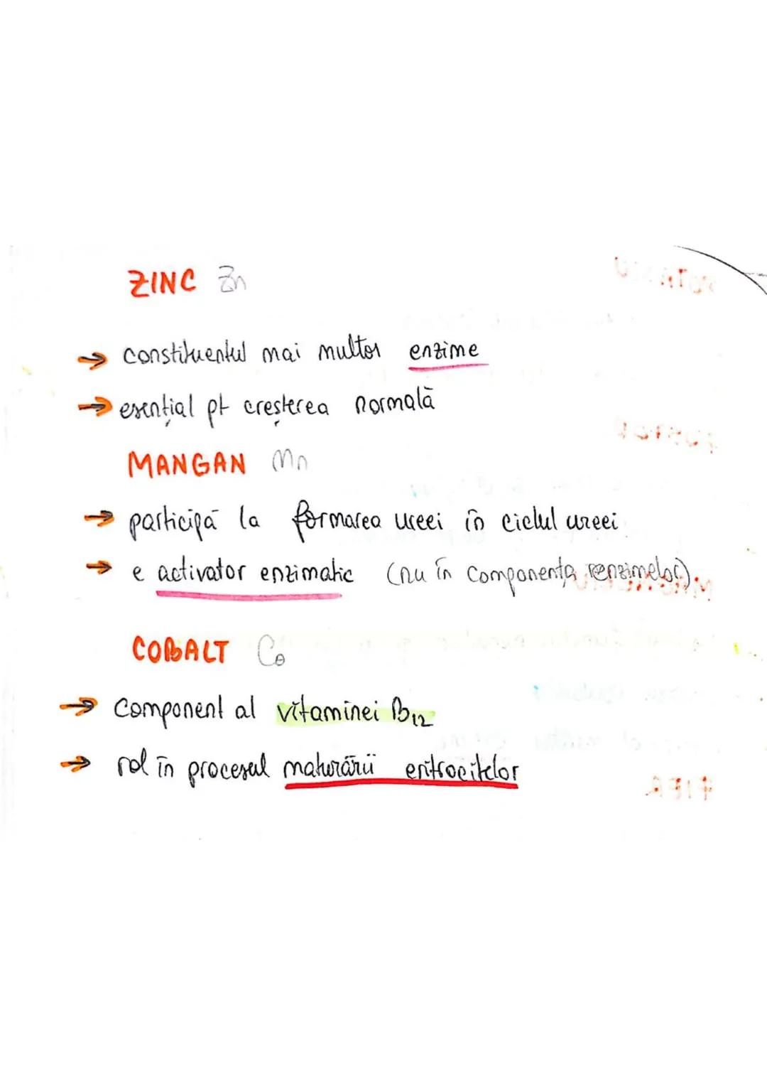 t
・Metabotasm
श्र
+
+
+
With the
METABOLISMUL = totalitatea proceselor fizice şi
principalele
component/cai
chimice
care au loc în CELULA
AN