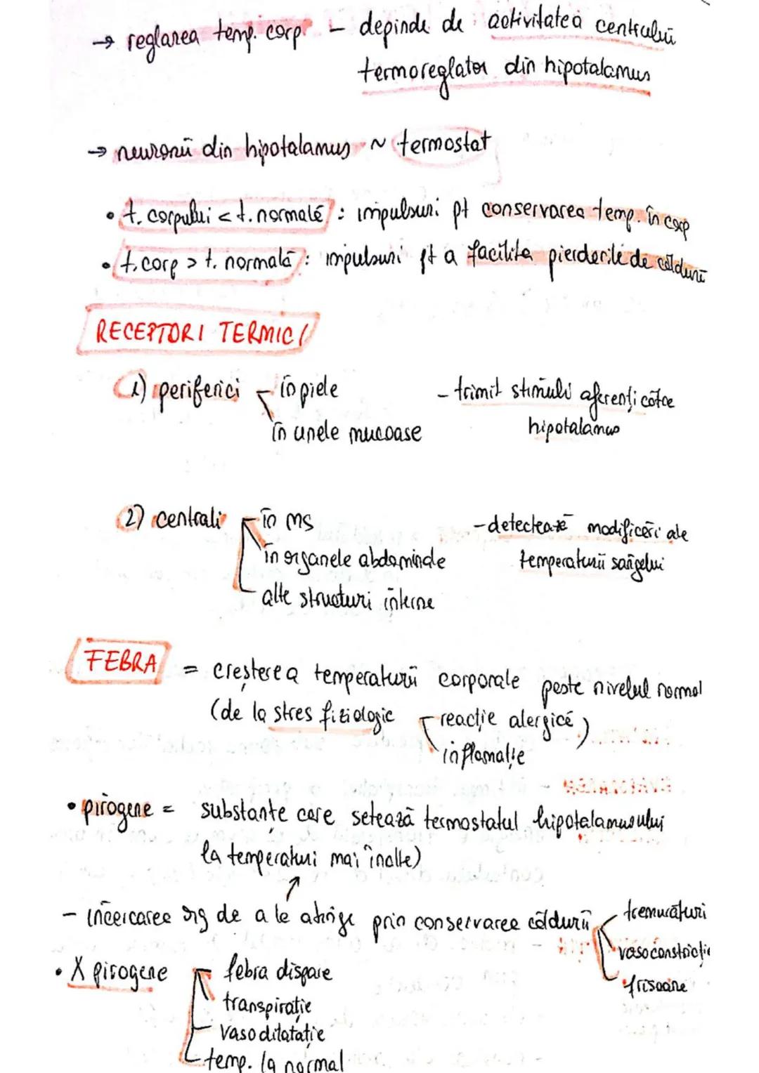 t
・Metabotasm
श्र
+
+
+
With the
METABOLISMUL = totalitatea proceselor fizice şi
principalele
component/cai
chimice
care au loc în CELULA
AN