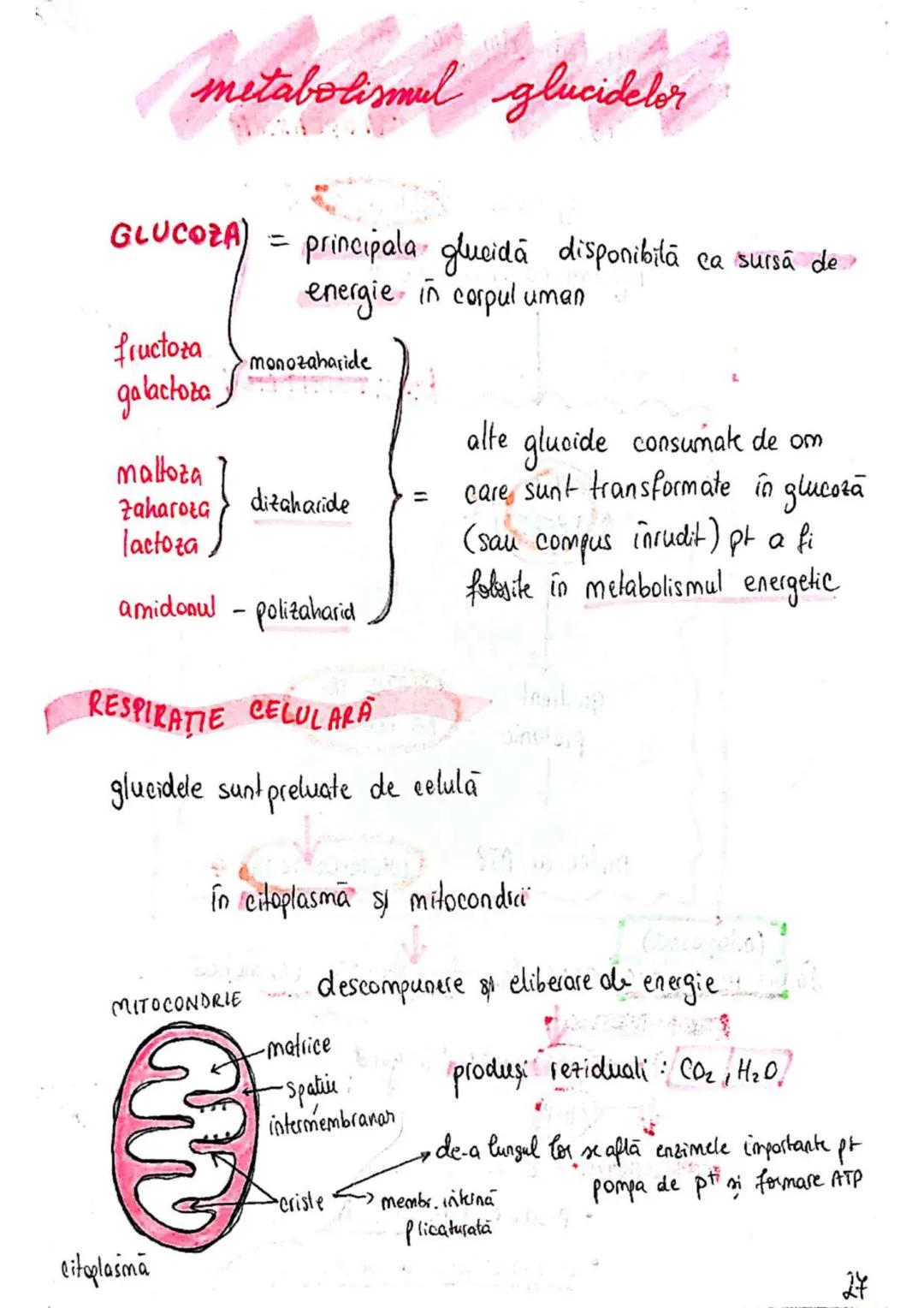 t
・Metabotasm
श्र
+
+
+
With the
METABOLISMUL = totalitatea proceselor fizice şi
principalele
component/cai
chimice
care au loc în CELULA
AN