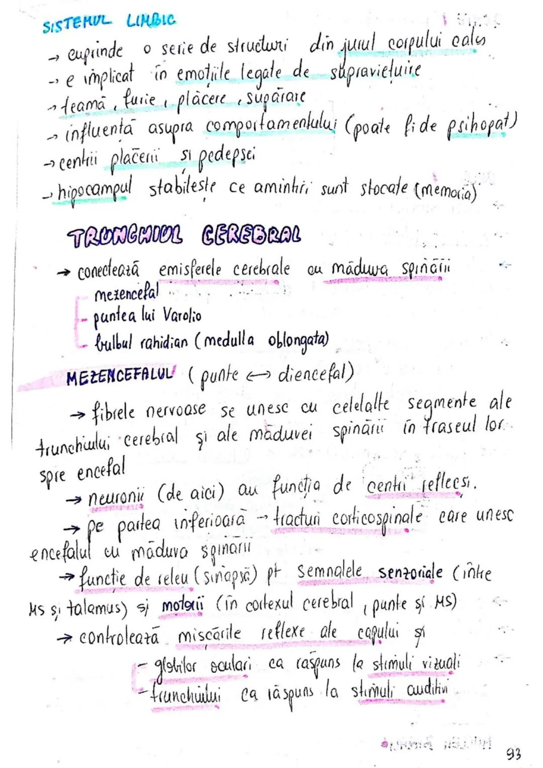 --- OCR Start ---
SISTEMUL NERVOS
SNC (central) = nevrax
(principalul centru de
interpretare a informatiei
din saganism)
[
encefal (protejat