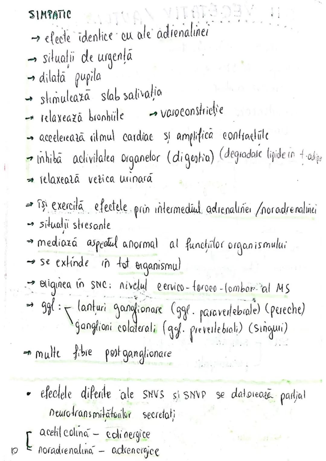 --- OCR Start ---
SISTEMUL NERVOS
SNC (central) = nevrax
(principalul centru de
interpretare a informatiei
din saganism)
[
encefal (protejat