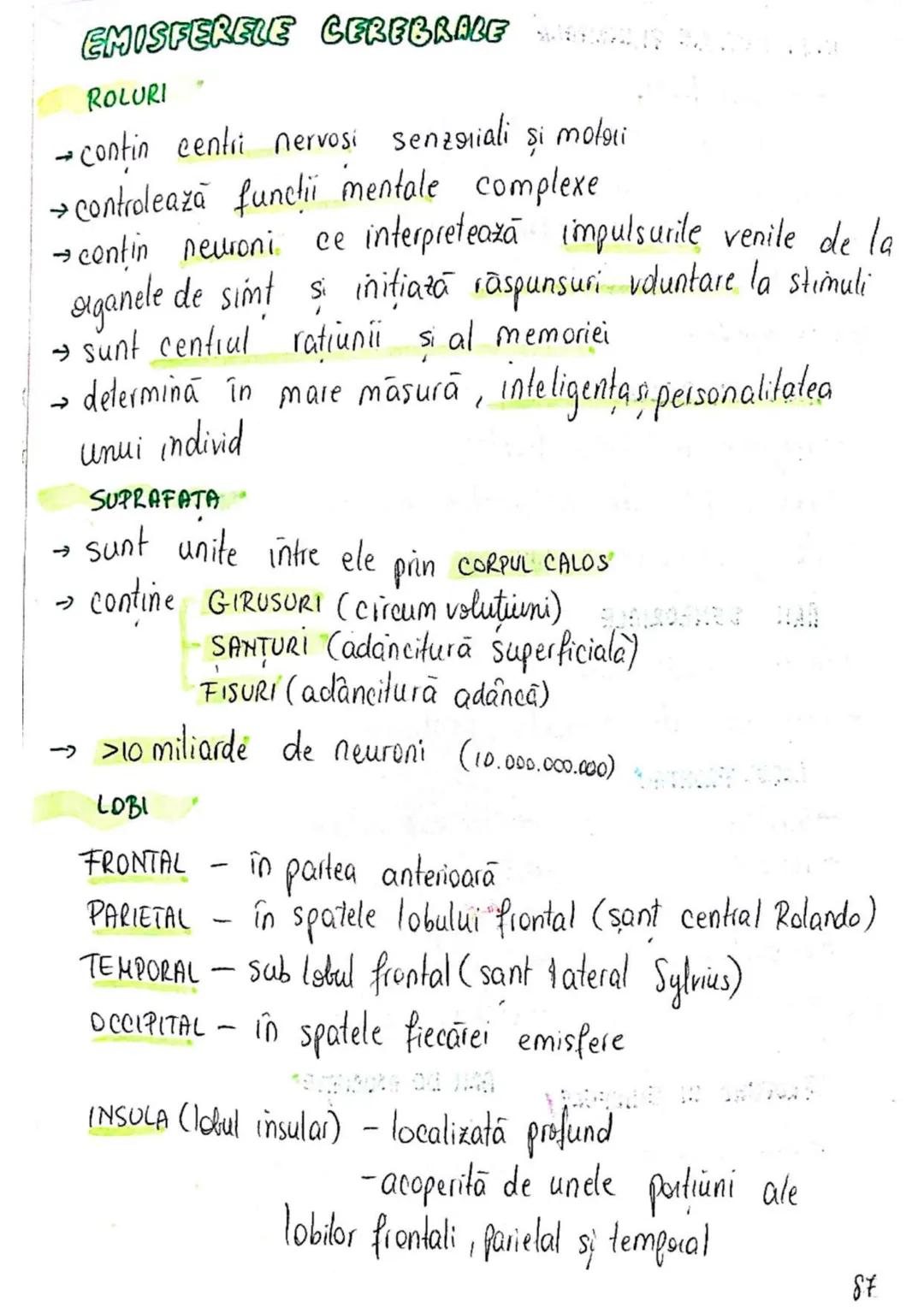 --- OCR Start ---
SISTEMUL NERVOS
SNC (central) = nevrax
(principalul centru de
interpretare a informatiei
din saganism)
[
encefal (protejat