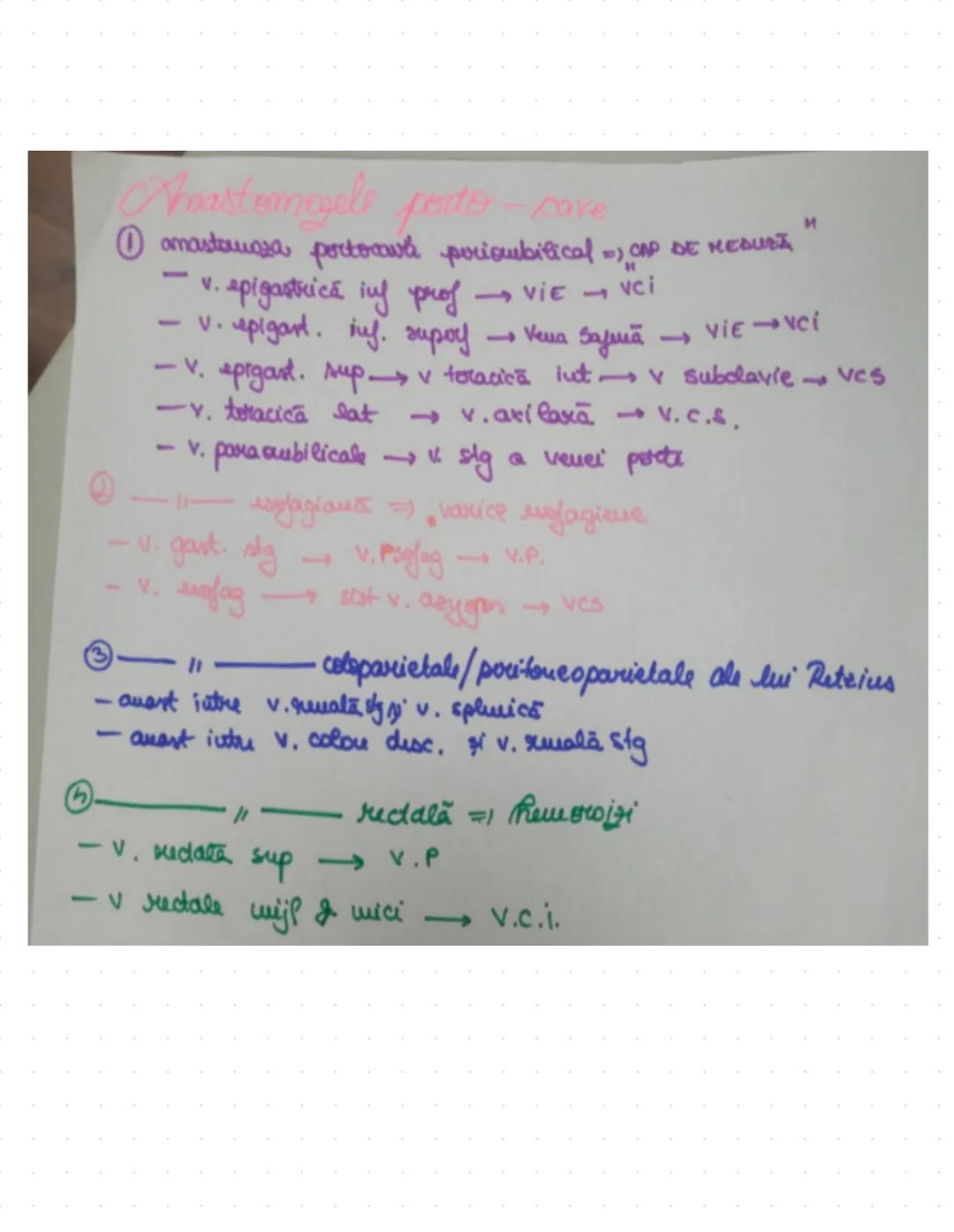 # Digestiv
- primul sistem apărut în dezv. embriologică (morfologic)
S
-
priimordial sist. digestiv
formarea endodermului
}
:
esofag