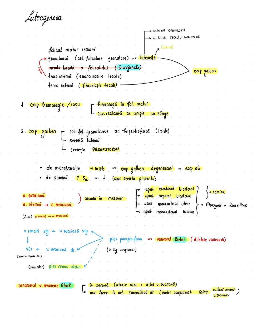 # Reproducator
## feminin
OVAR = oophoron
$
\sim 4/2/1 cm
\sim 10g$
- alb
← X peritoneu
- tinere şi nulipare → ovare mai sus
- vârstnice