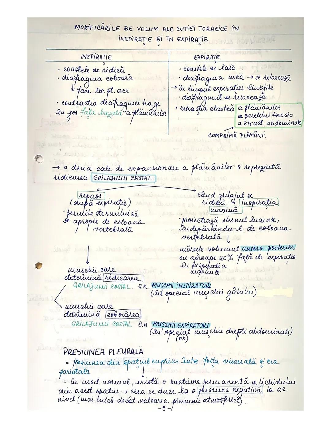 # Respirația
• respirația este deservită de sistemul respirator
plămânii
(2 plămâni)
caile respiratorii
• cavitatea nazală
• faringe
• la