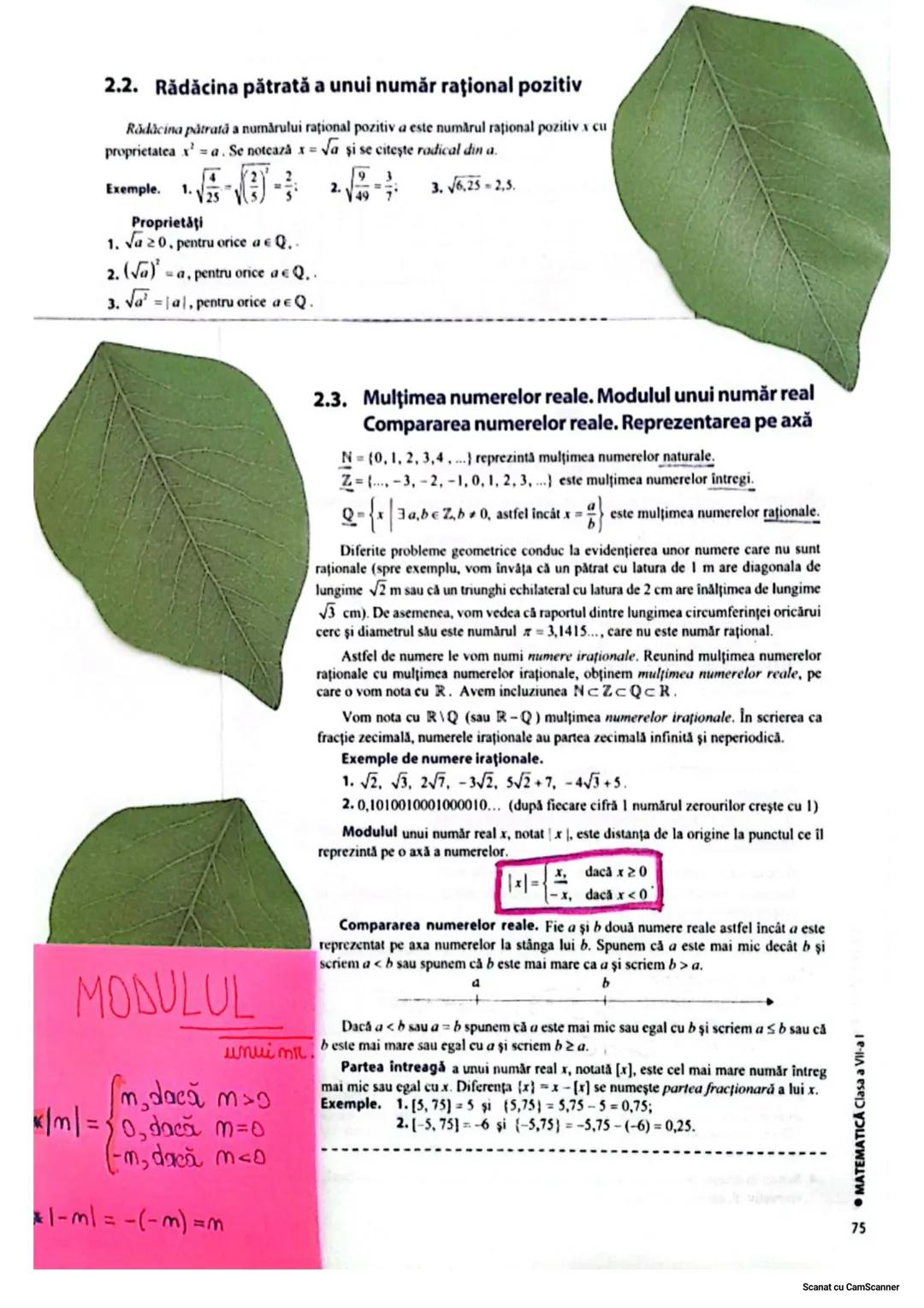 ~Mulțimi de numere~
1. Naturale $N = {1, 2, 3...}$
2. Întregi $Z = {-4, -2, -3, 4...}$
3. Raționale $Q = {\frac{a}{b} | a \in Z, b \in Z}$