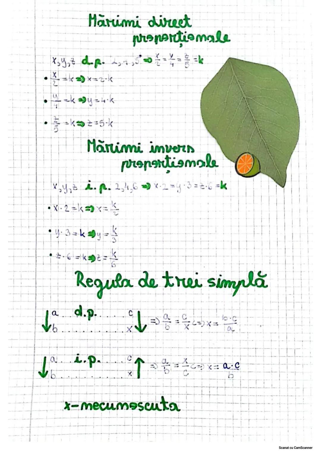 ~Mulțimi de numere~
1. Naturale $N = {1, 2, 3...}$
2. Întregi $Z = {-4, -2, -3, 4...}$
3. Raționale $Q = {\frac{a}{b} | a \in Z, b \in Z}$