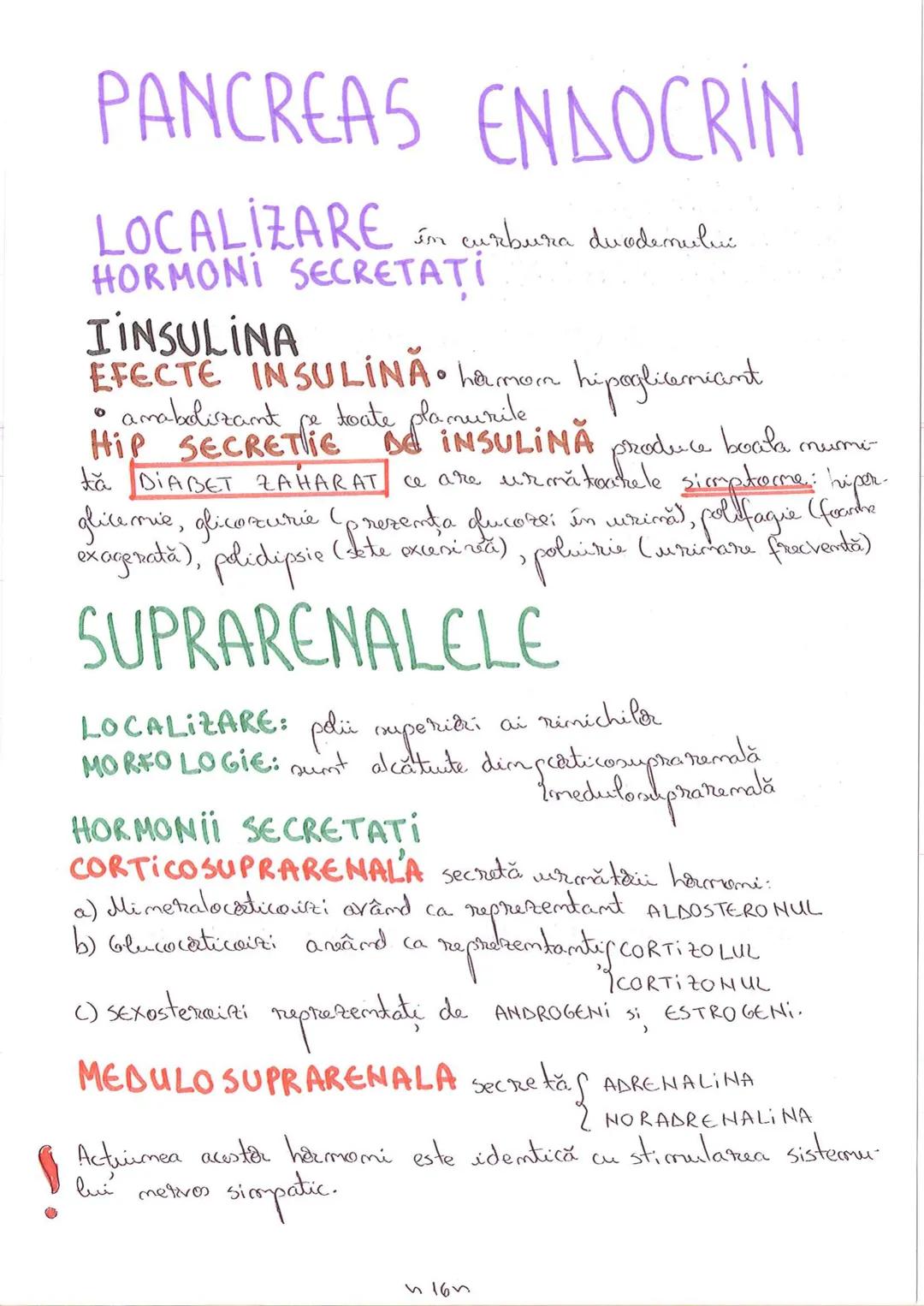 # SEGMENTELE CORPULUI
# UMAN
I CAP - alcătuit din → NEUROCRANIU
→ VISCEROCRANIU
II GÂT
III TRUNCHI format din → TORACE sunt separate de
→ AB