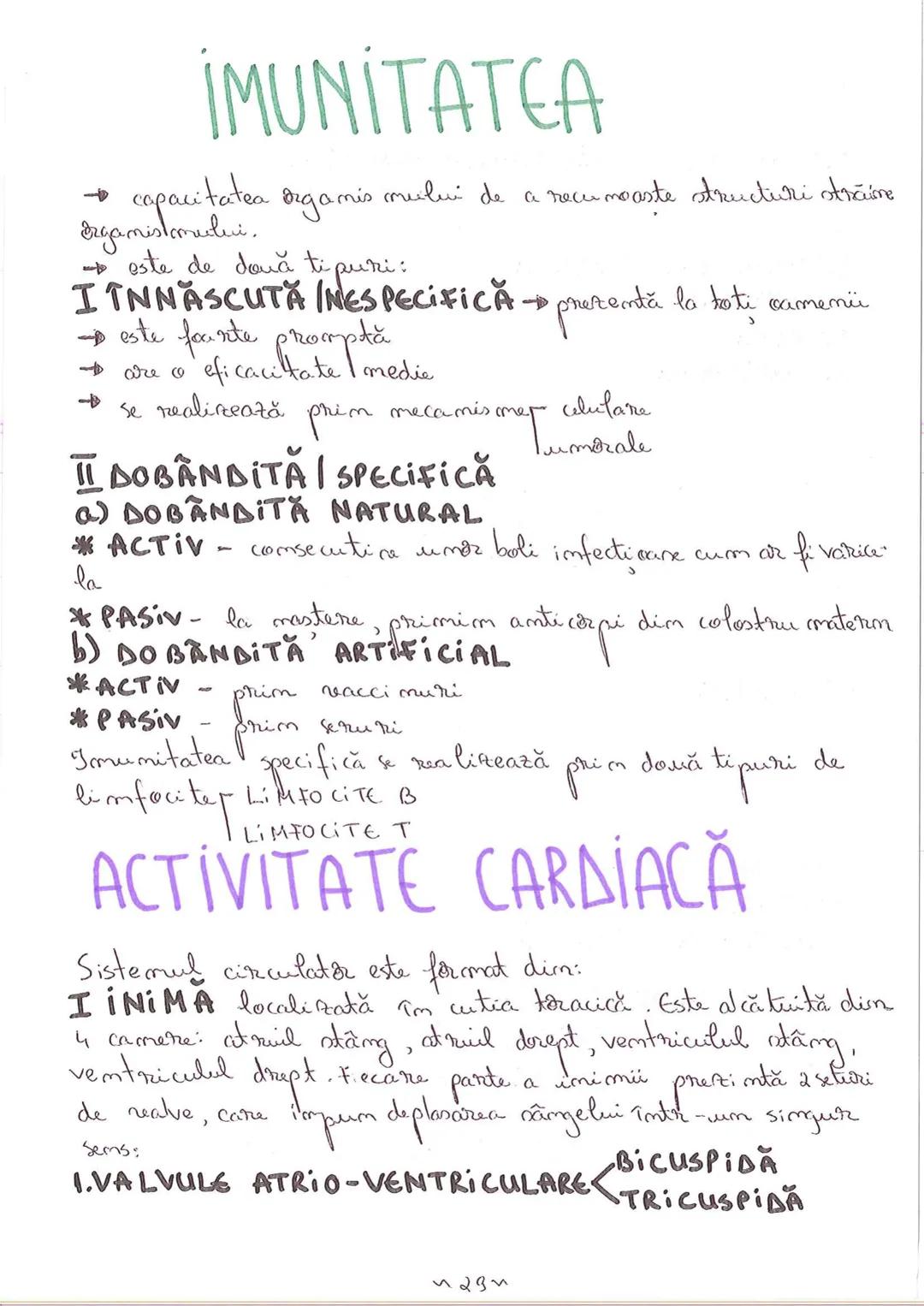 # SEGMENTELE CORPULUI
# UMAN
I CAP - alcătuit din → NEUROCRANIU
→ VISCEROCRANIU
II GÂT
III TRUNCHI format din → TORACE sunt separate de
→ AB